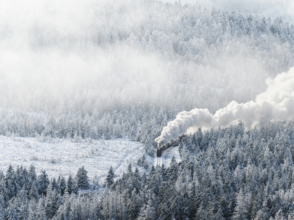 Die Brockenbahn bahnt sich Ihren Weg durch den verschneiten Wald
