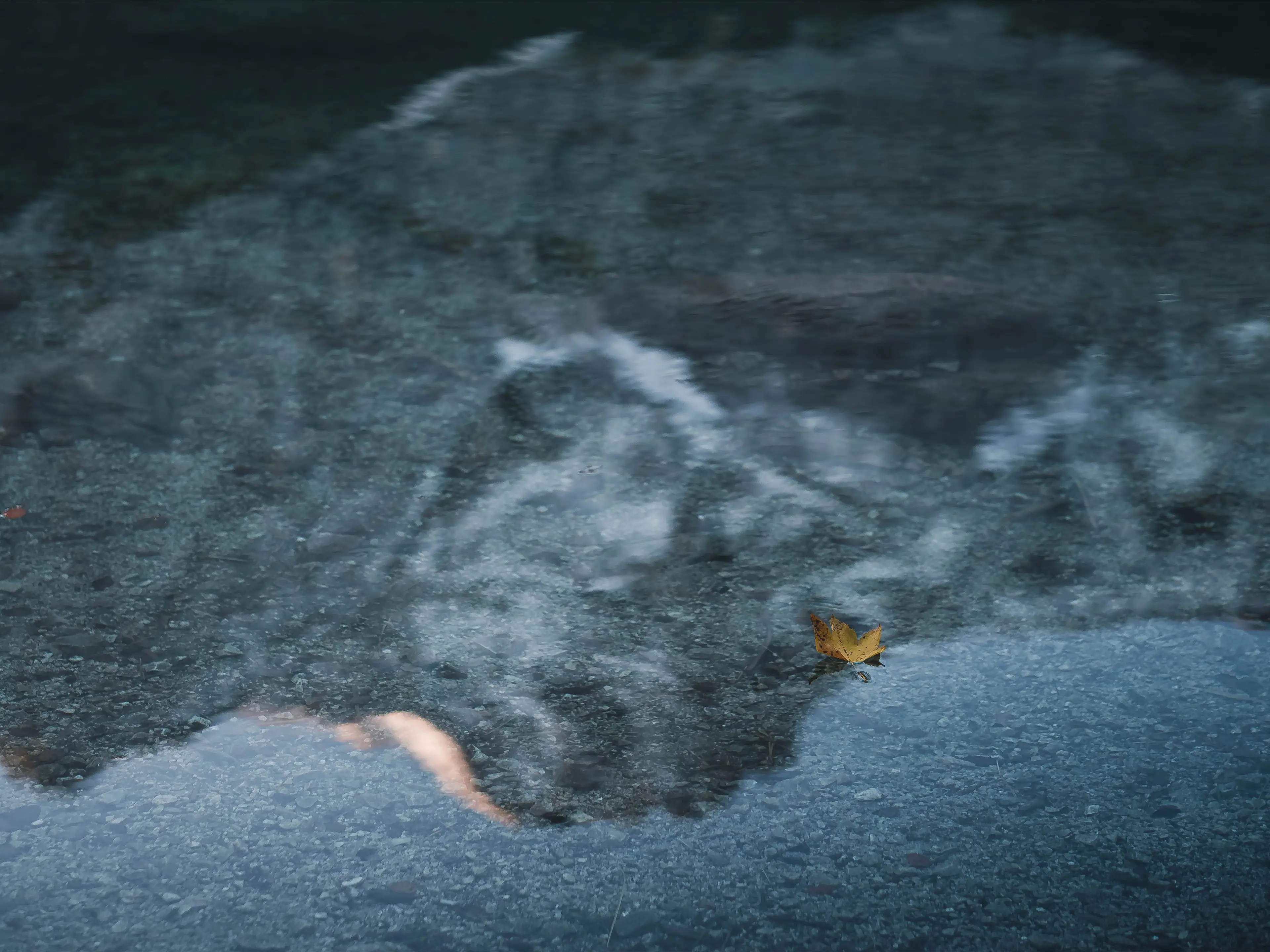 Ein Herbstblatt schwimmt auf dem Wasser mit einer Spiegelung der Zugspitze.
