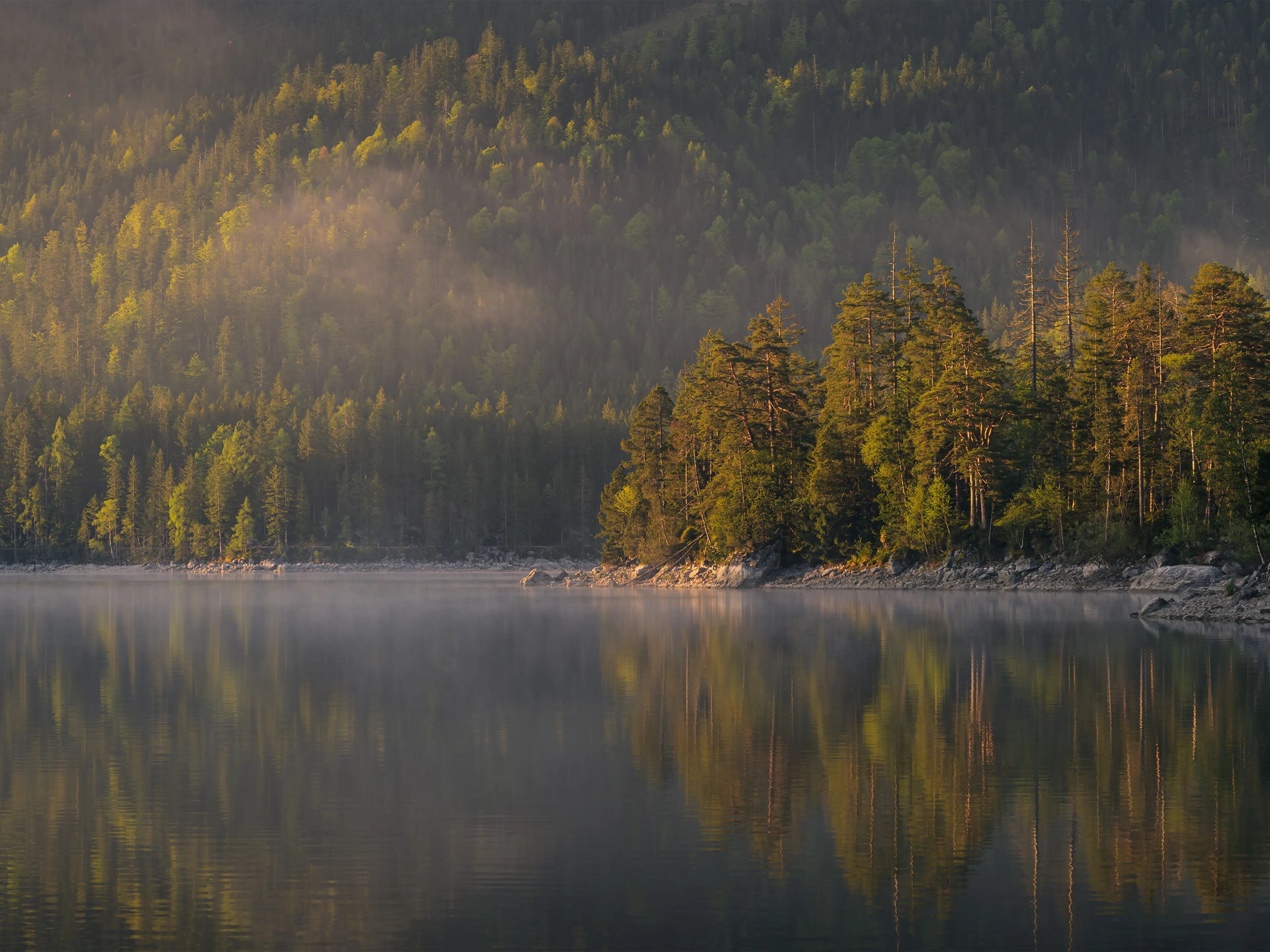 Eine Insel mit Bäumen spiegelt sich im See.