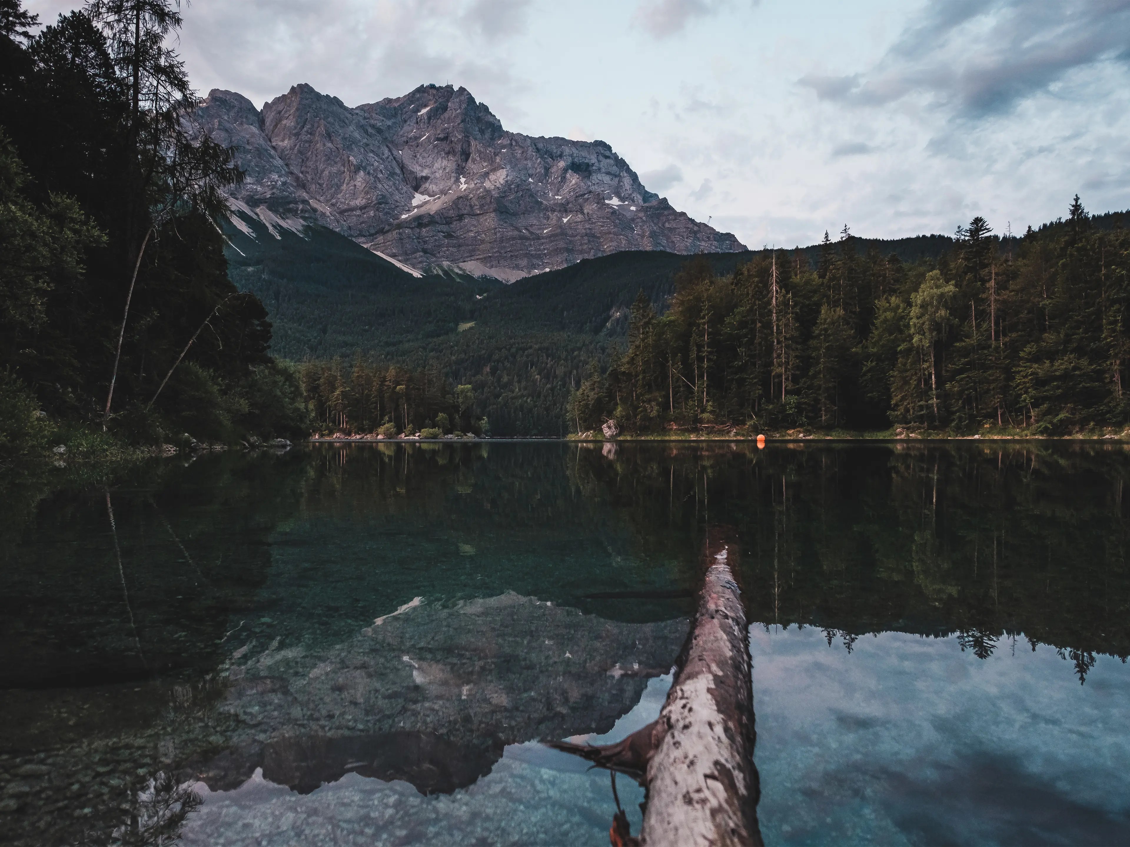 Ein Baumstamm liegt im Wasser. Im Hintergrund sind Wälder und die Zugspitze zu sehen.