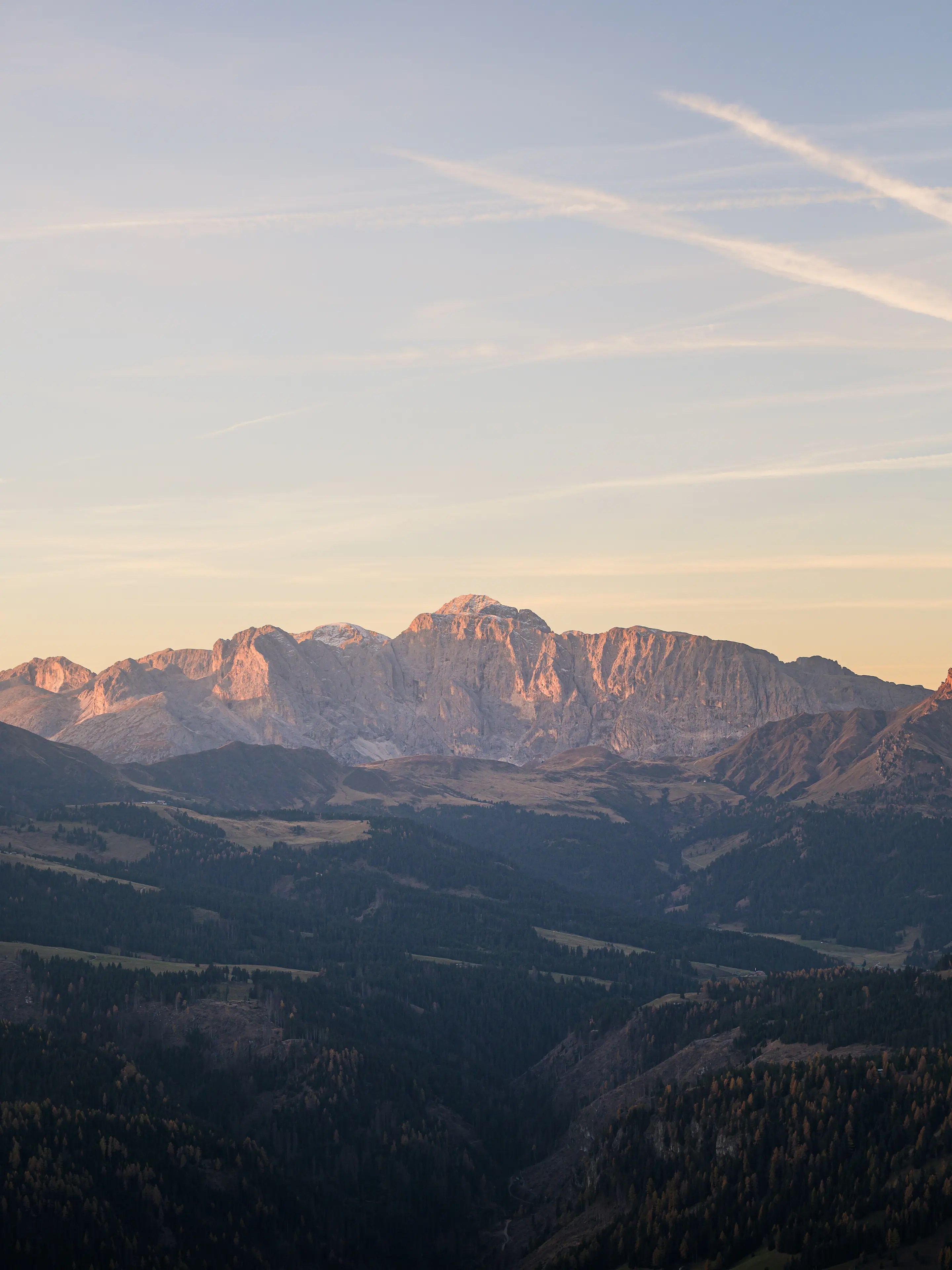 Blick zum Rosengarten zum Morgenlicht.