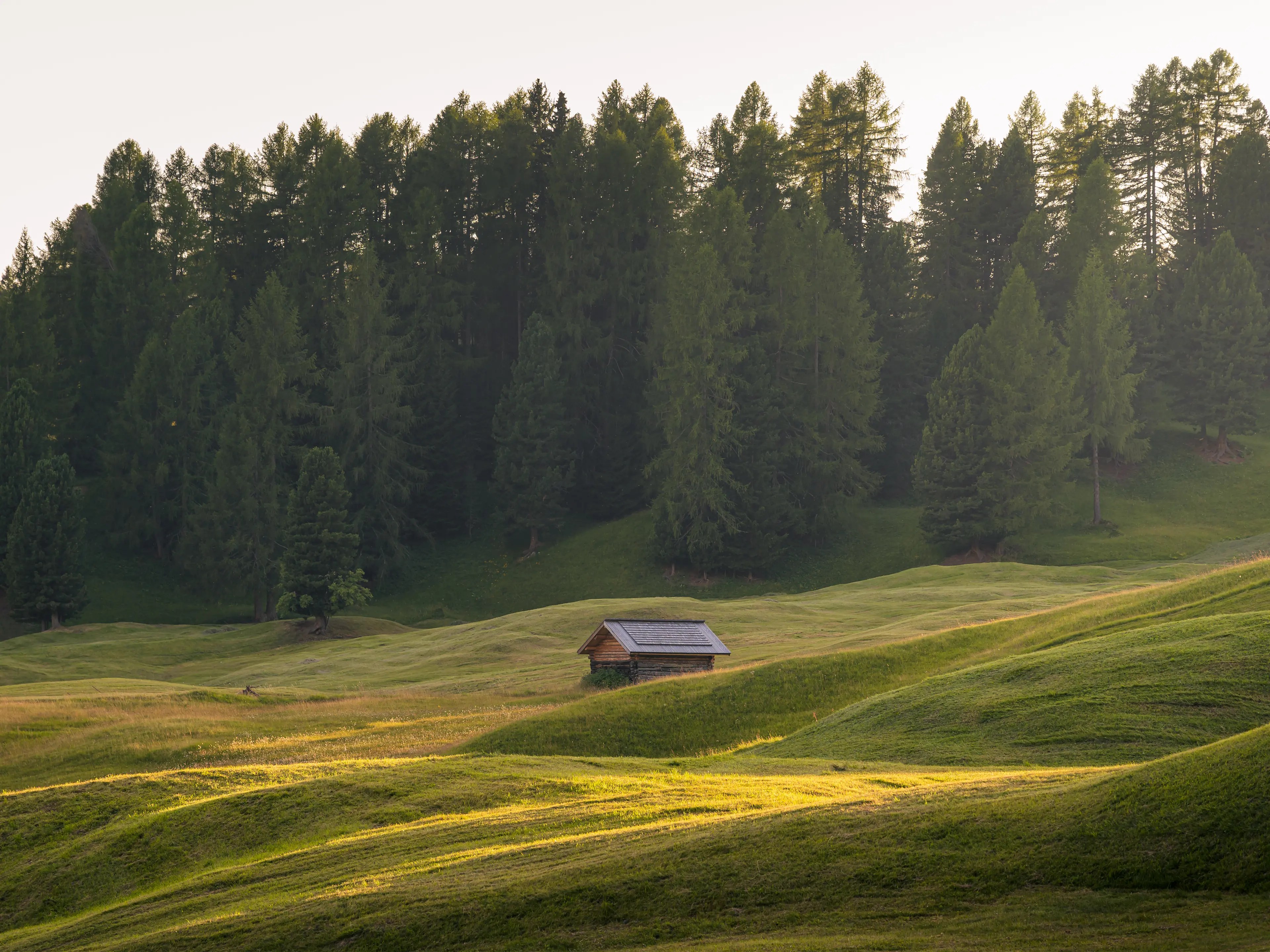 Eine kleine Holzhütte in den Almwiesen rund um die Juac Hütte.