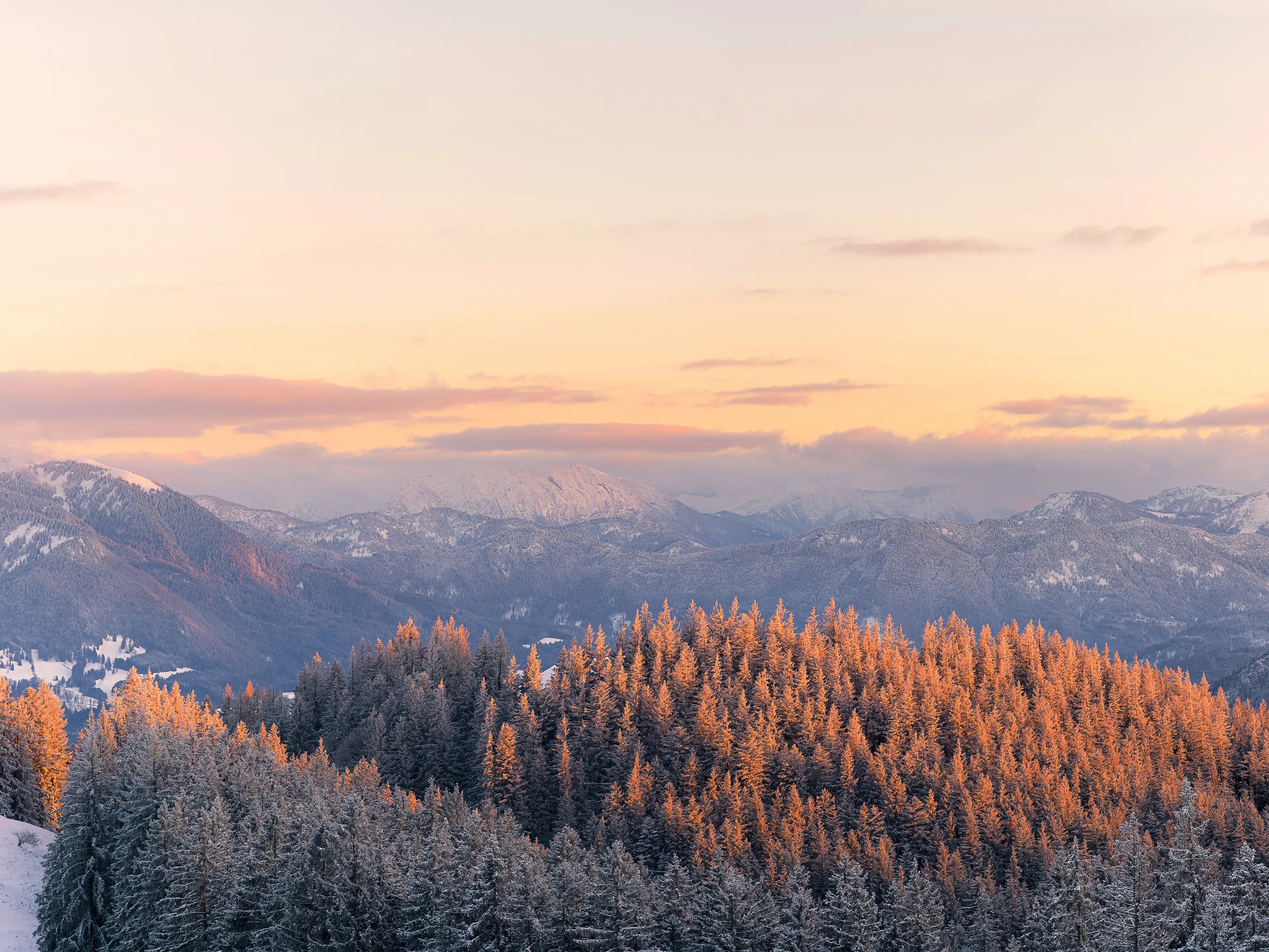Eine Winterlandschaft zum Sonnenuntergang. Im Vordergrund sind verschneite Bäume zu sehen und im Hintergrund verschneite Berge.