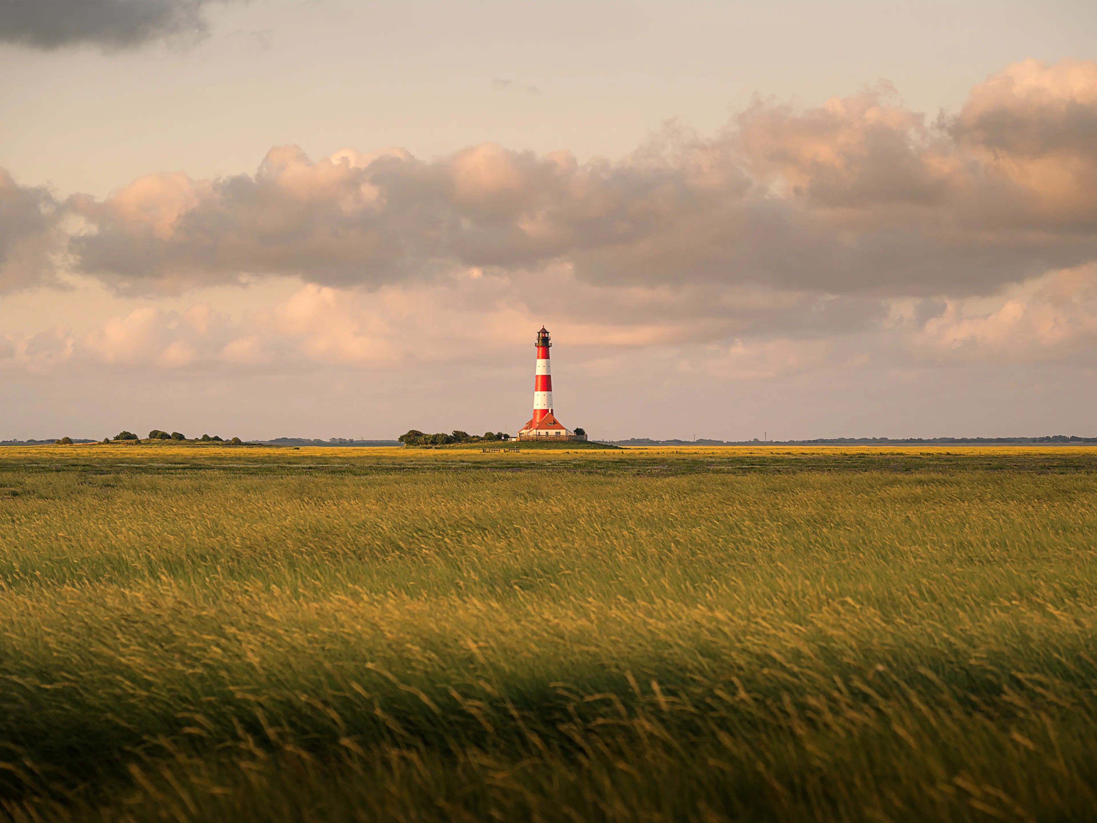 Ein Leuchtturm im Morgenlicht. Die Wolken am Himmel leuchte in warmen Tönen und das Gras im Vordergrund wiegt leicht im Wind.