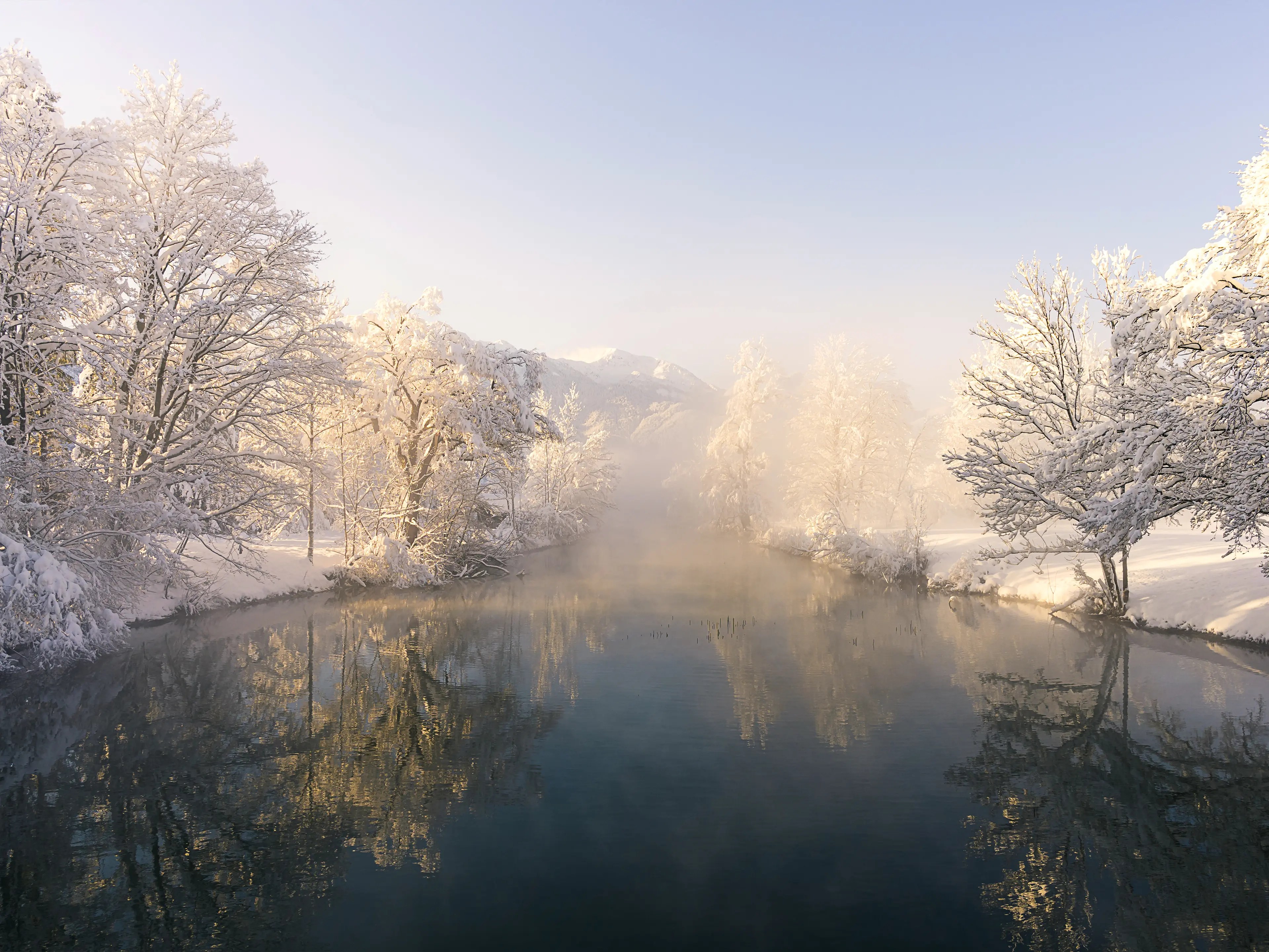 Verschneite Bäume stehen an einem Fluss, der nicht gefroren ist. Durch die Sonne steigt leichter Nebel vom Wasser auf.