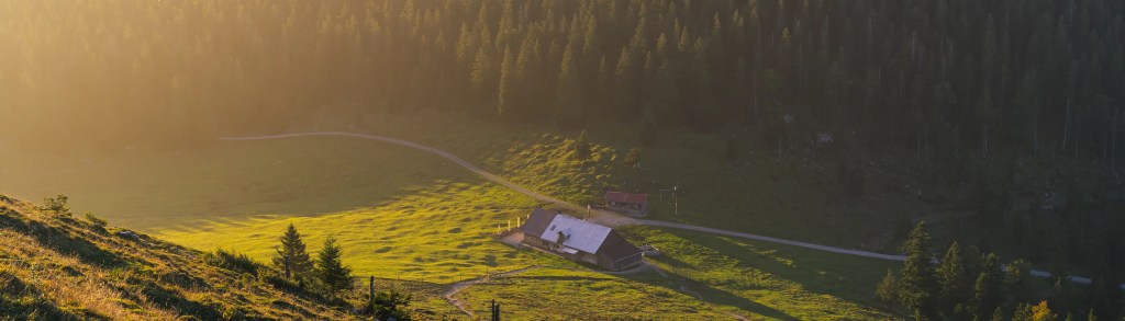 Eine Almhütte im Morgenlicht auf einer Lichtung im Bergwald