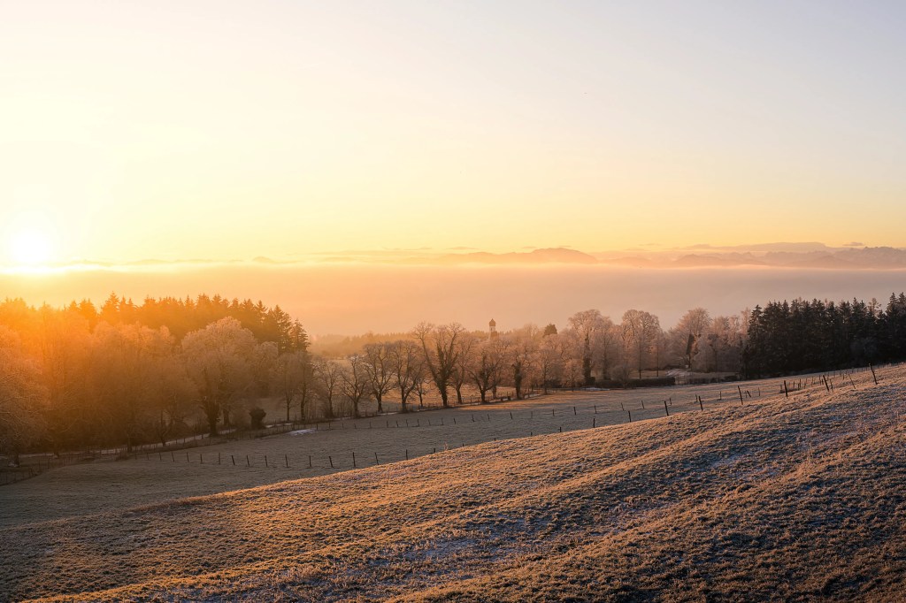 Eine mit Reif bedeckte Wiese zum Sonnenaufgang im Vordergrund sind Bäume vor einer Nebeldecke zu erkennen.