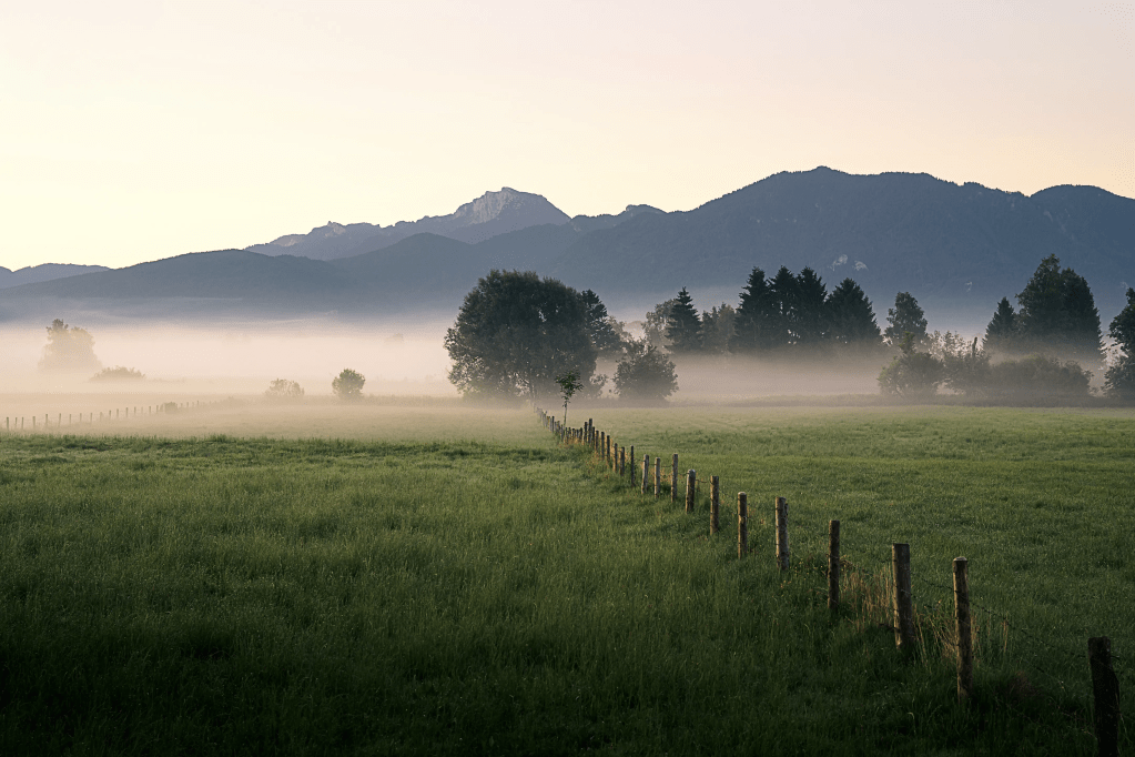 Eine grüne Wiese mit einem Zaun und Bäumen. Vor den Bergen im Hintergrund liegt eine dünne Nebeldecke.
