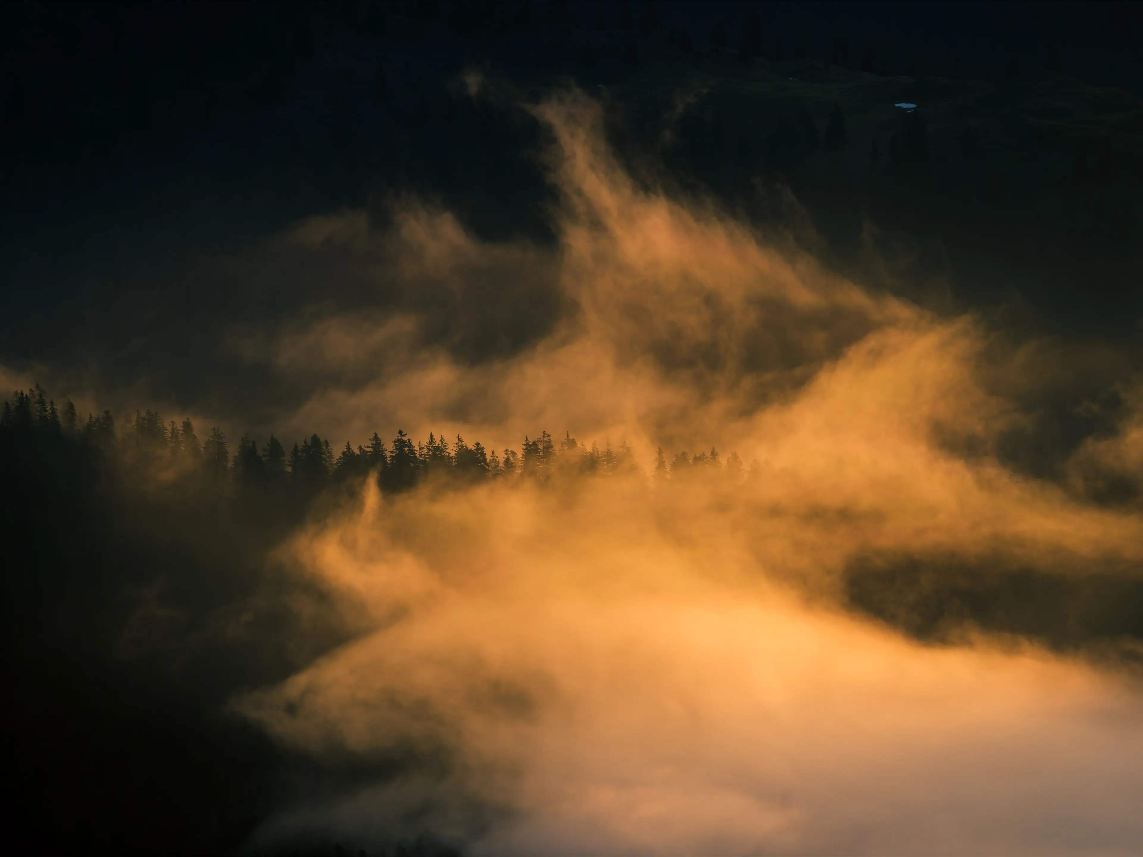 Nebel, der im Morgenlicht orange leuchtet, zieht durch einen Bergwald.