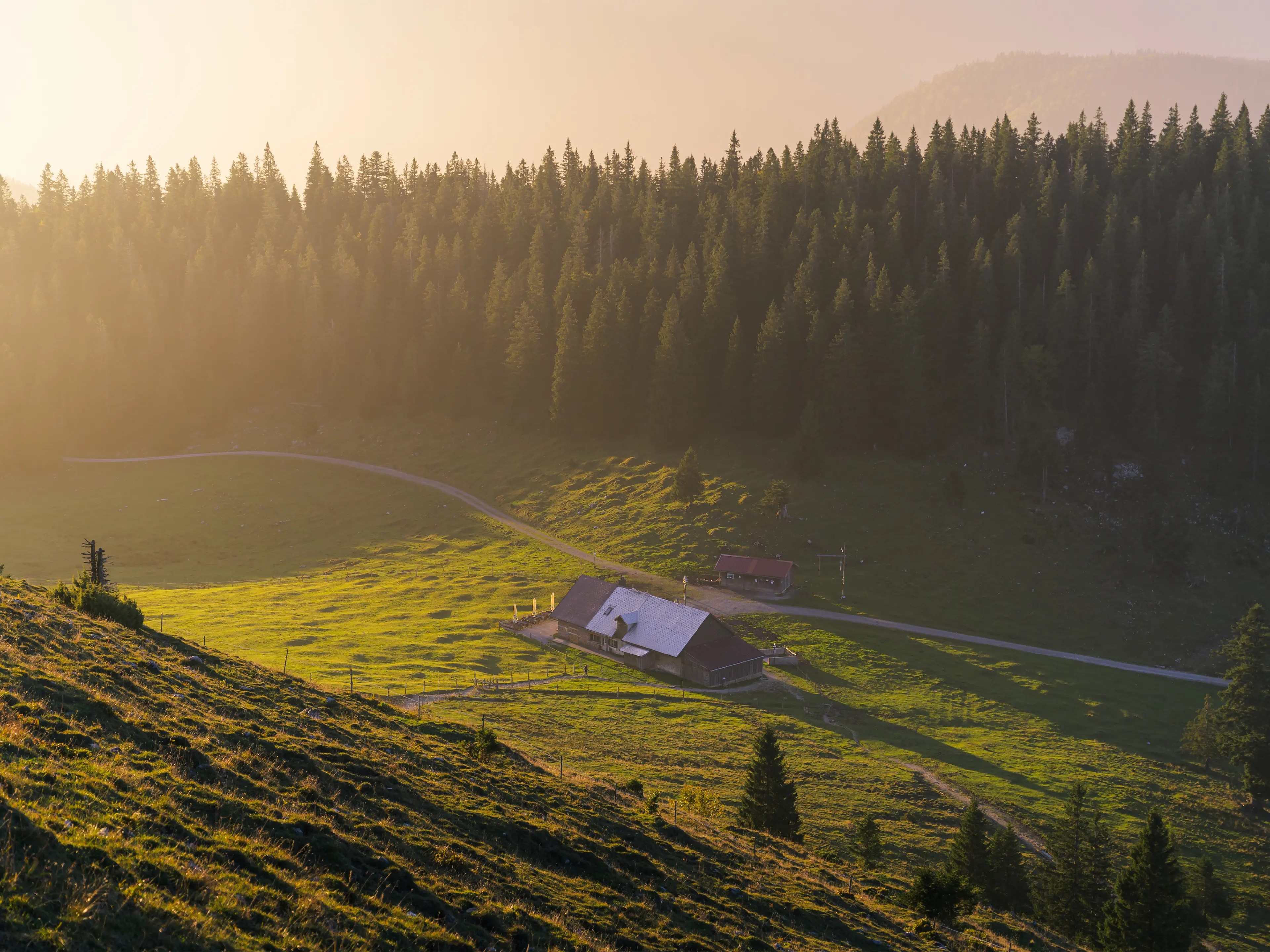 Eine Berghütte im sanften Morgenlicht auf einer grünen Almwiese in einer kleinen Senke.