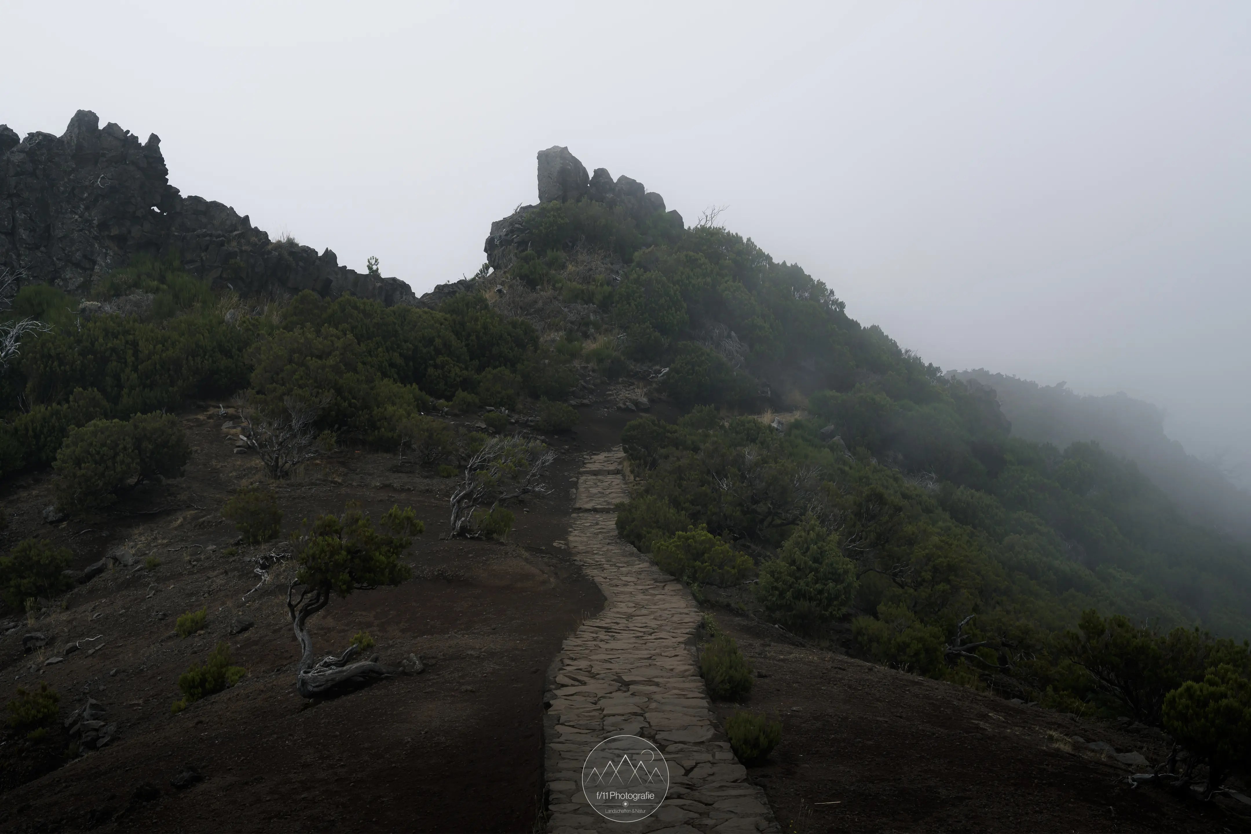 Ein gepflasterter Wanderweg führt auf den Pico Ruivo auf Madeira.