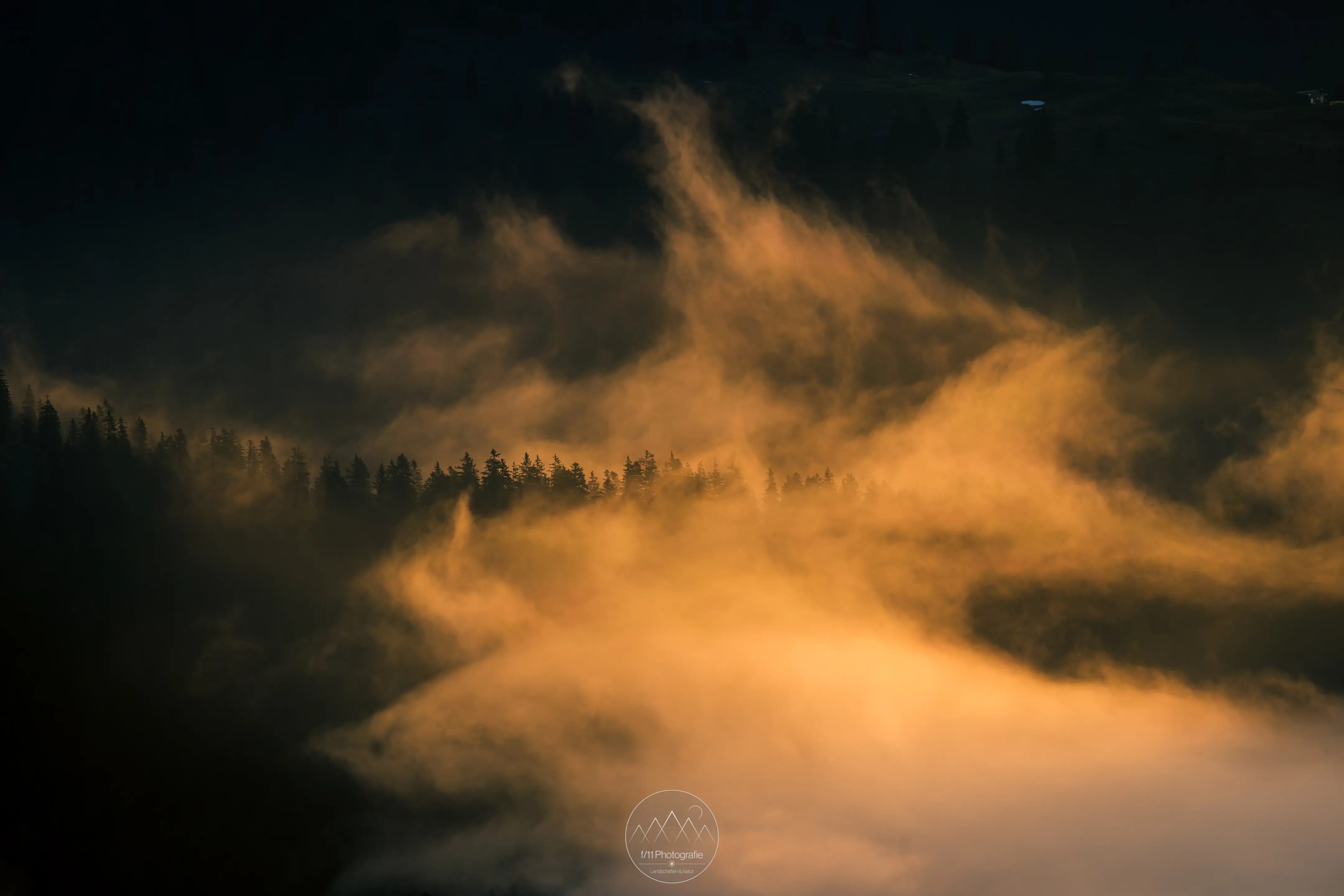 Besonders bei Nebel bieten die Täler rund um den Jochberg zahlreiche Möglichkeiten für Detailaufnahmen.