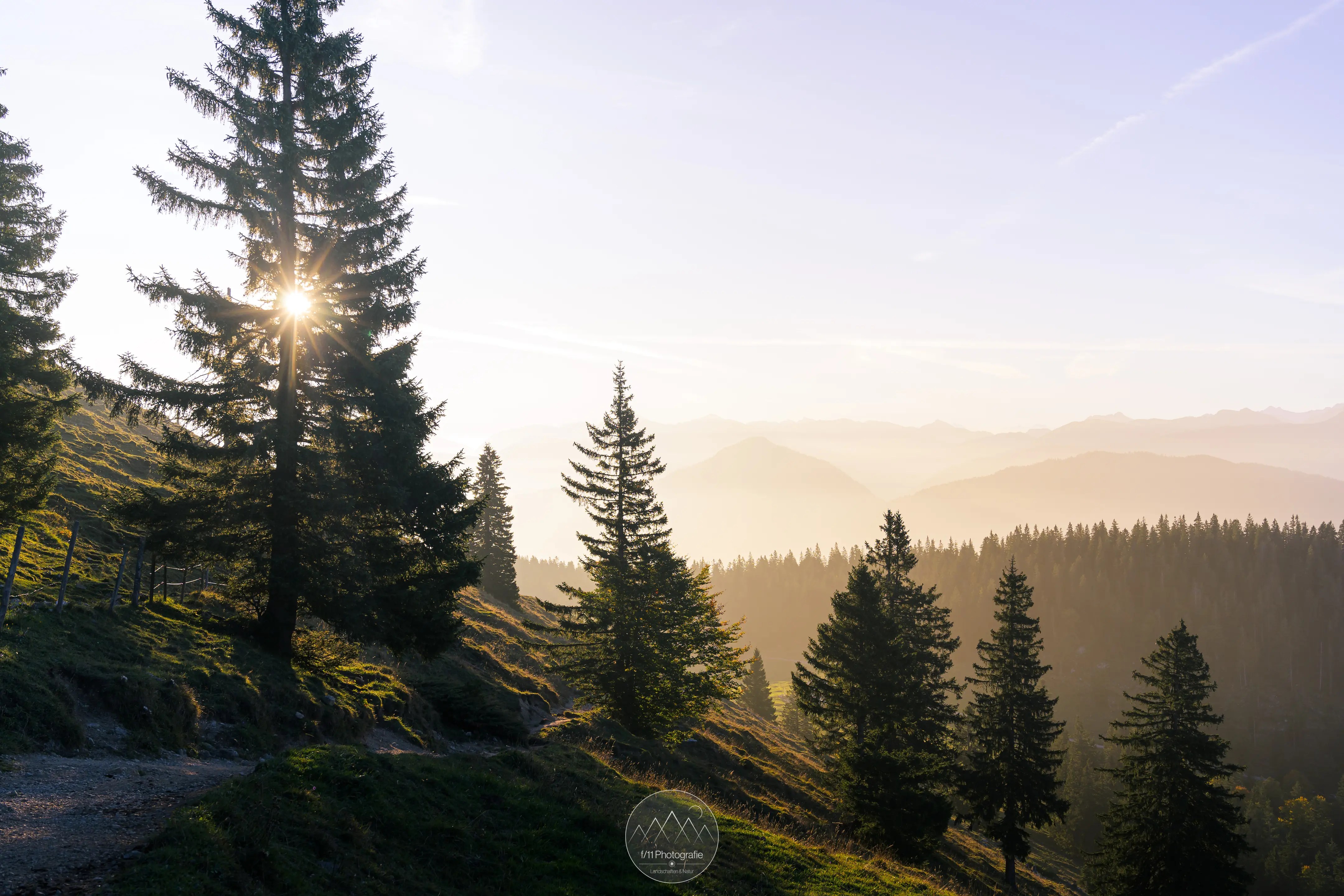 Auch beim Abstieg vom Jochberg können sich nochmal ein paar Motive ergeben.