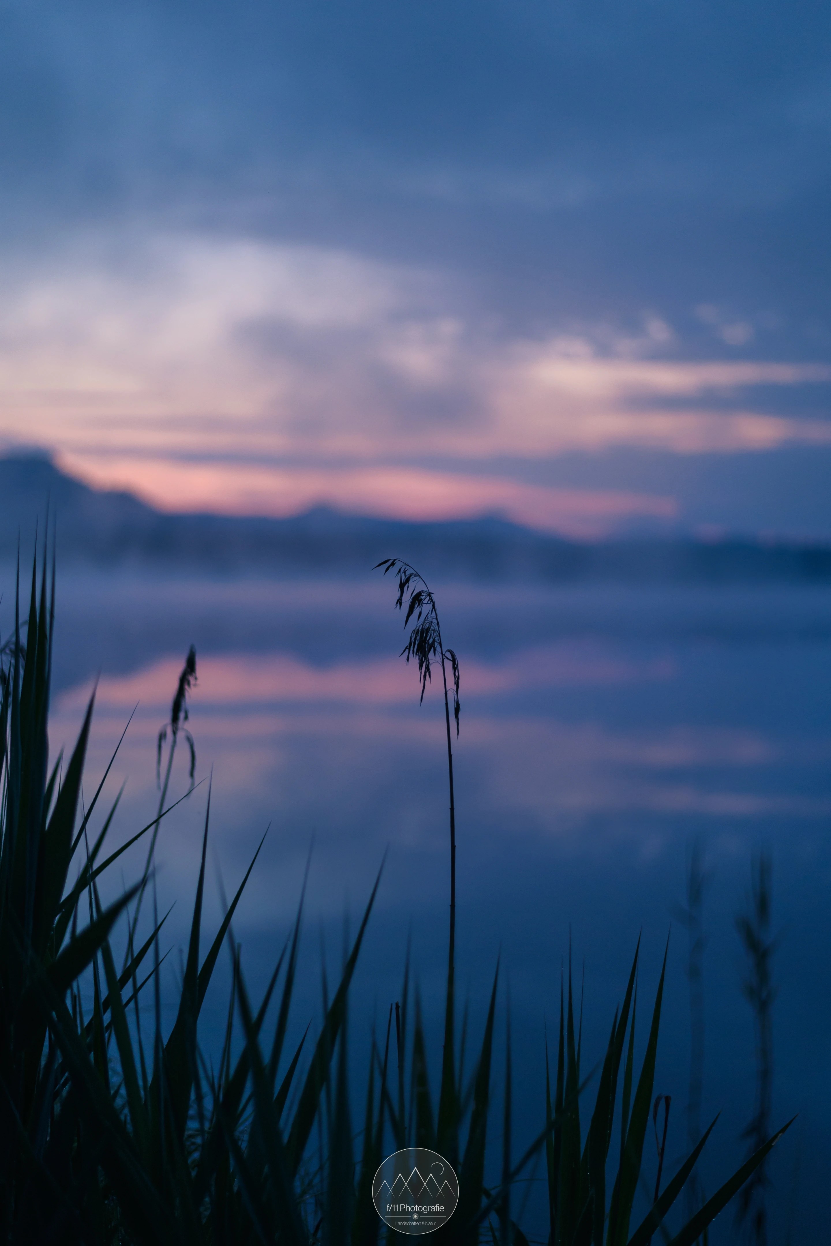 Am Uferweg lassen sich vor Sonnenaufgang schöne Details im Licht der Morgendämmerung einfangen.