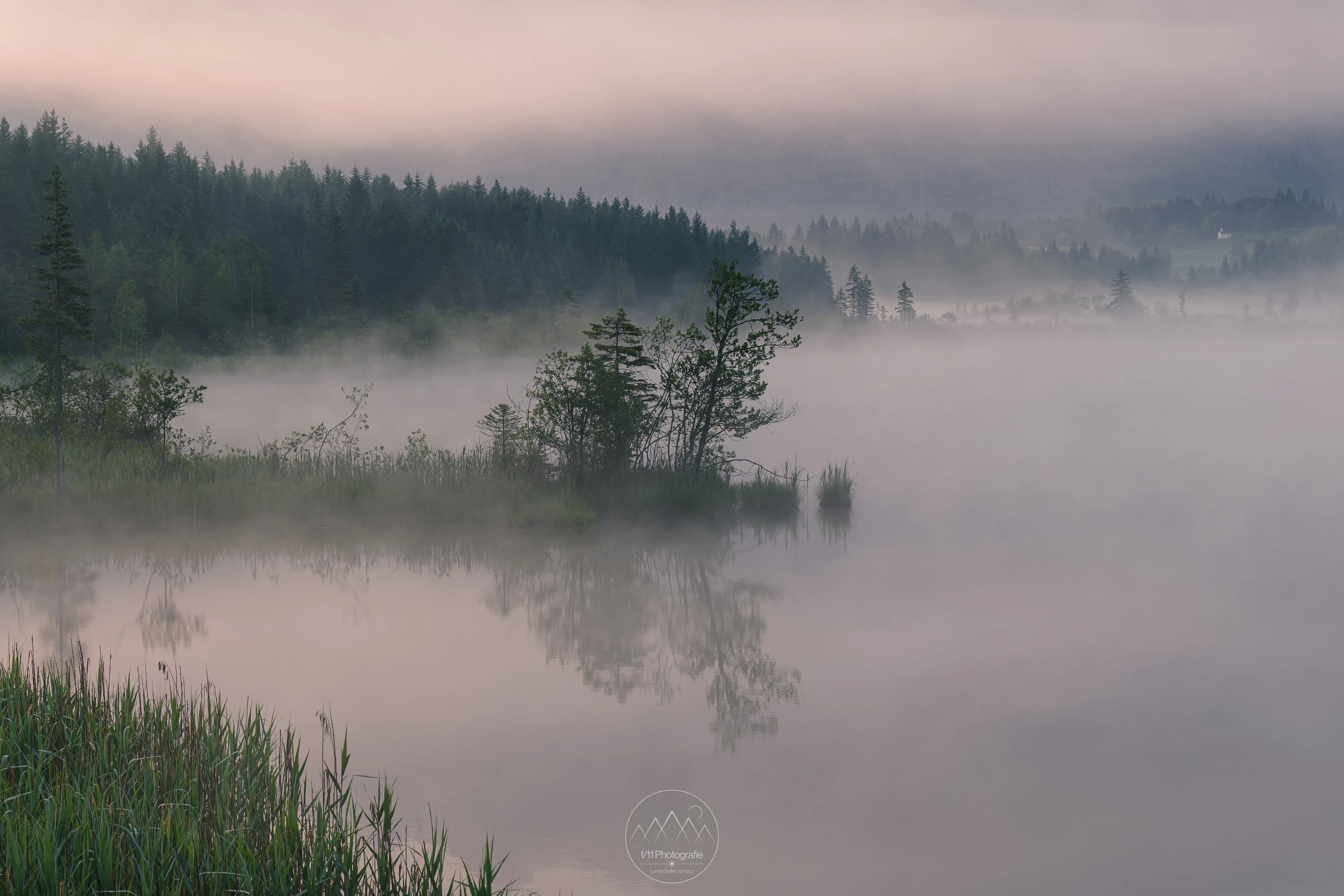 Auch die Natur erwacht im Frühling und es ergeben sich wieder mehr Motive.