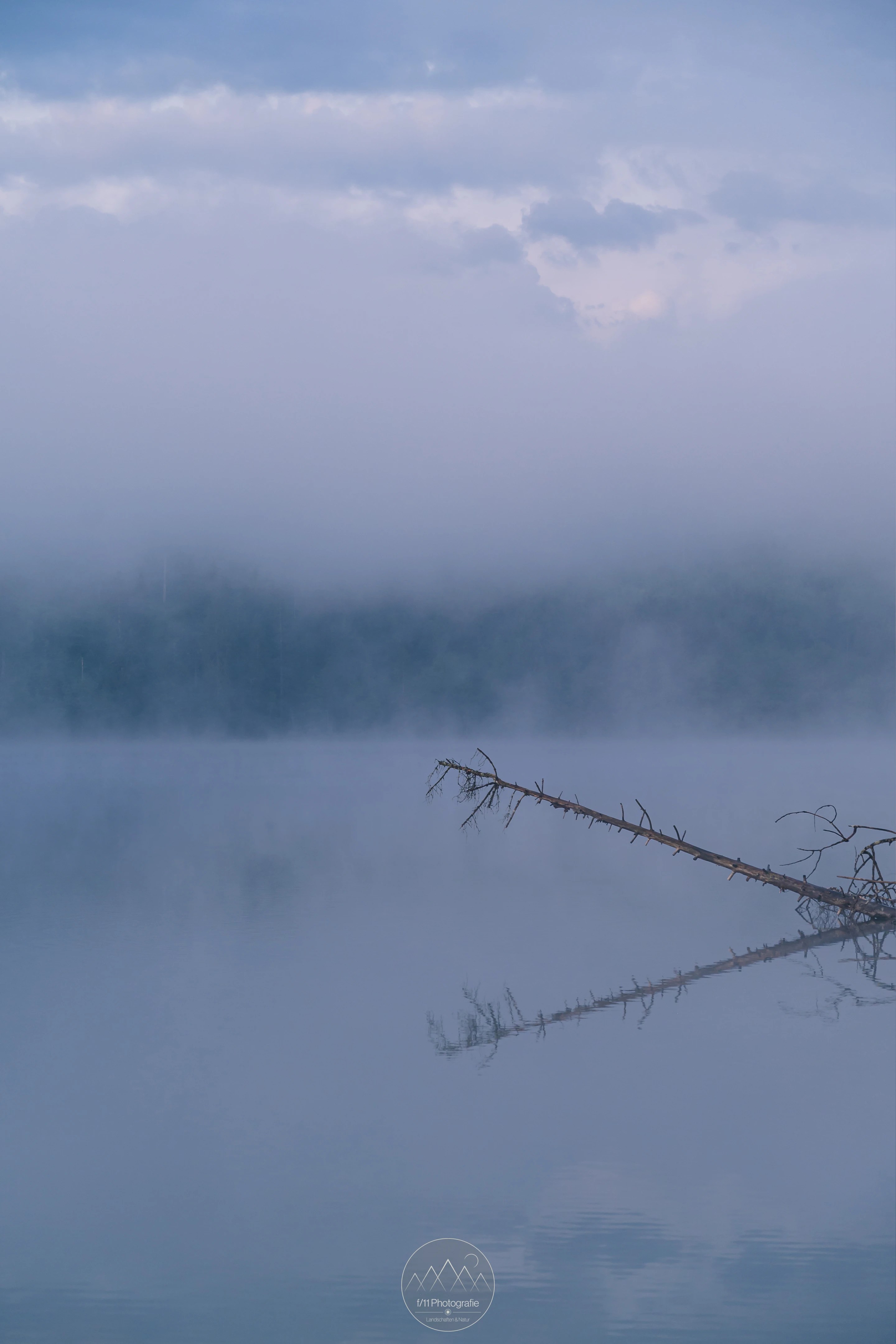 Bei dichtem Nebel liegt meine auch im Frühling auf Details in der Landschaft.