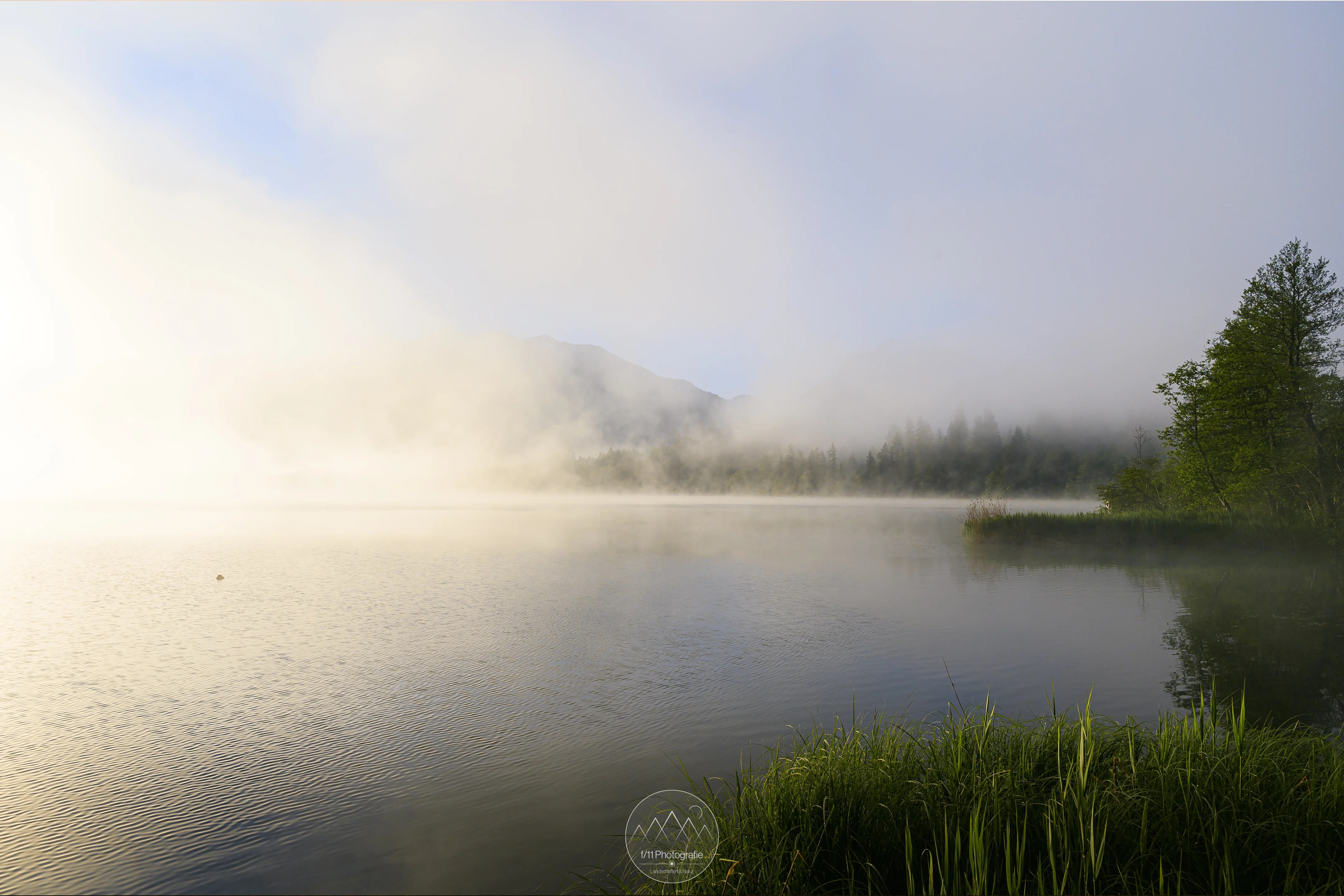 Im Frühling zieht immer wieder mehr oder weniger dichter Nebel über den See.