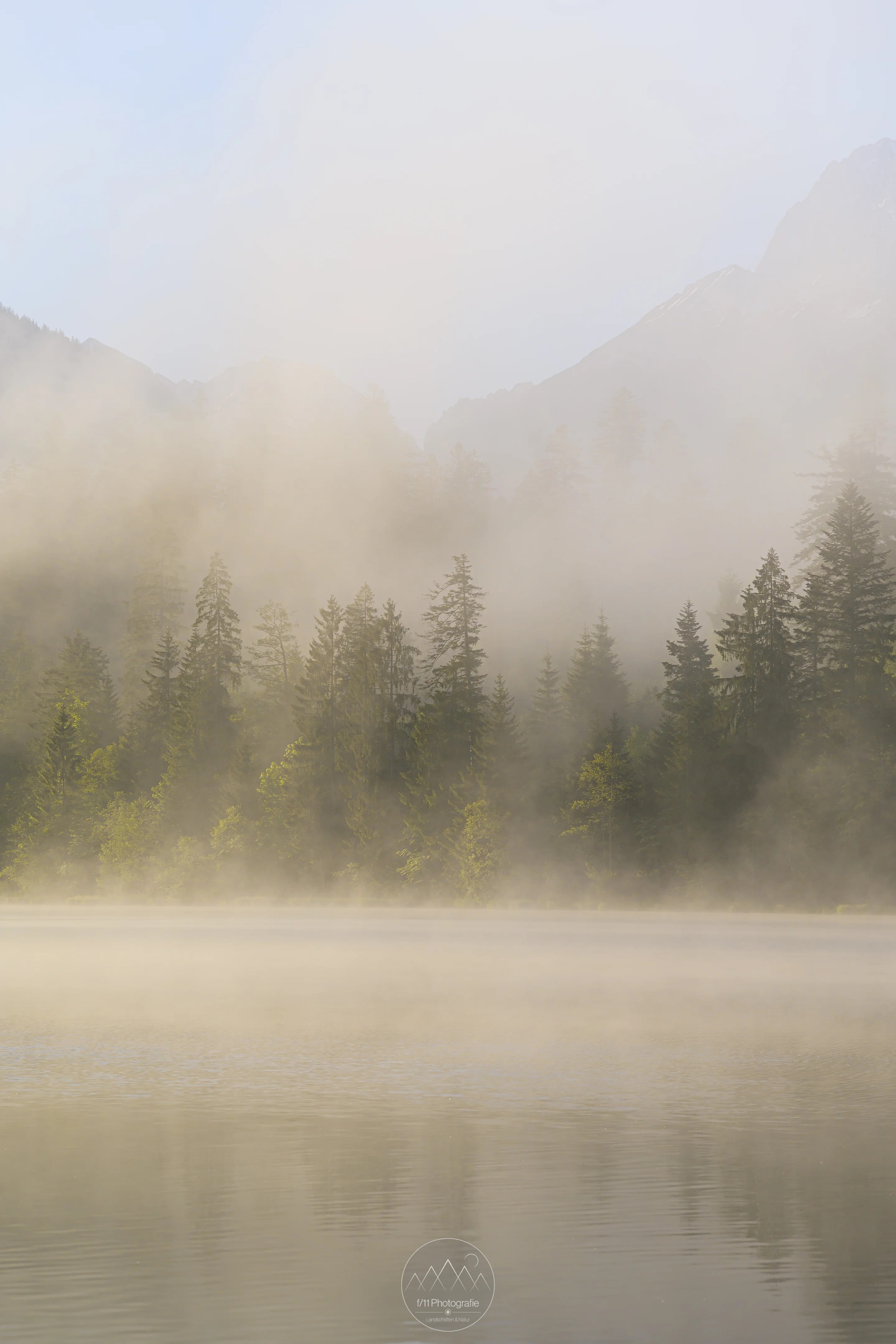 Mit der aufgehenden Sonne wird die Umgebung in warmes Licht getaucht. Oft beginnt der Nebel dann zu tanzen. Es ergeben sich stetig neue Motive.