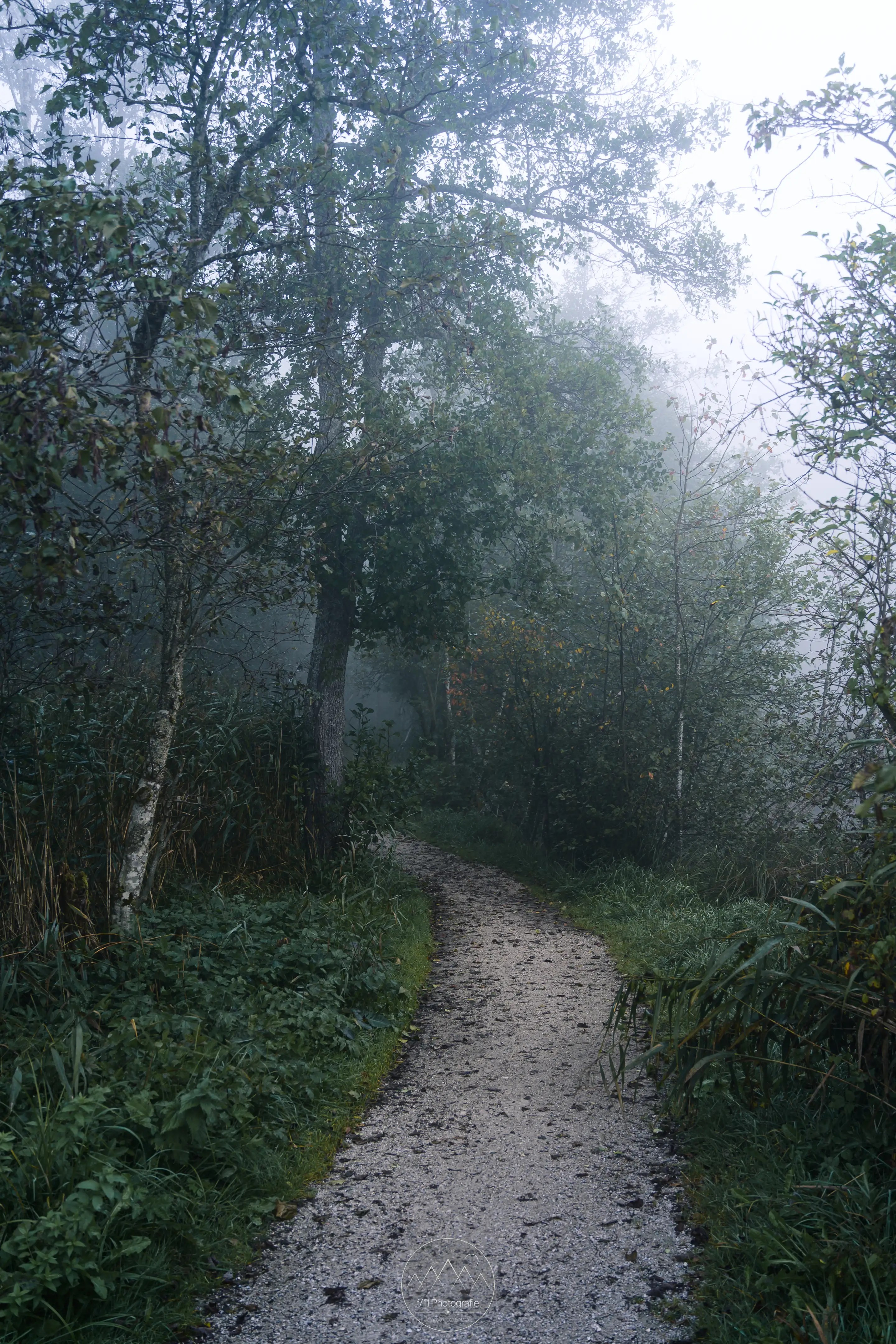 Bei Herbstnebel wird der Uferweg an der kleinen Schutzhütte selbst zum Motiv.