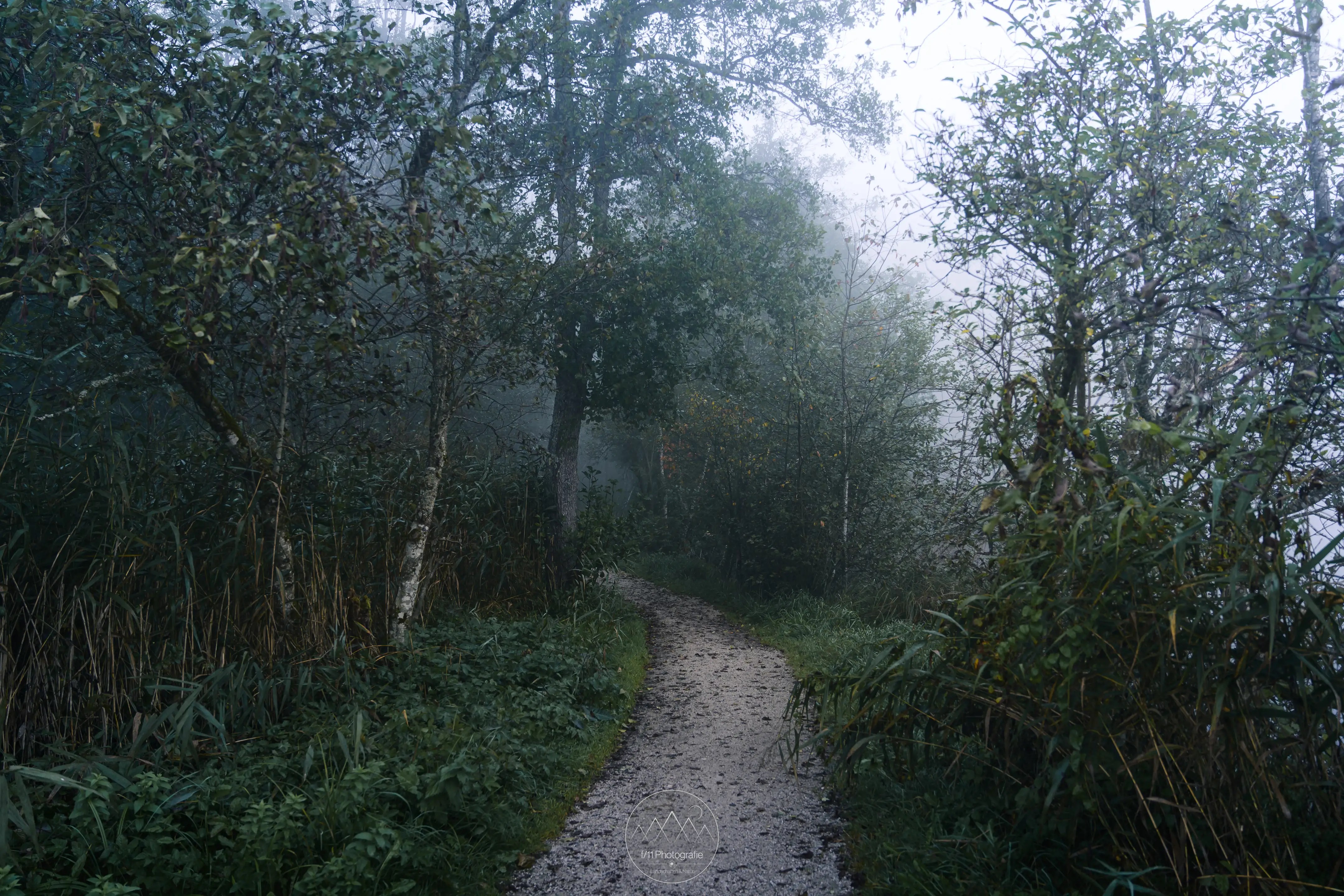 Bei dichtem Herbstnebel ergeben sich einige stimmungsvolle Motive direkt auf dem Rundweg.