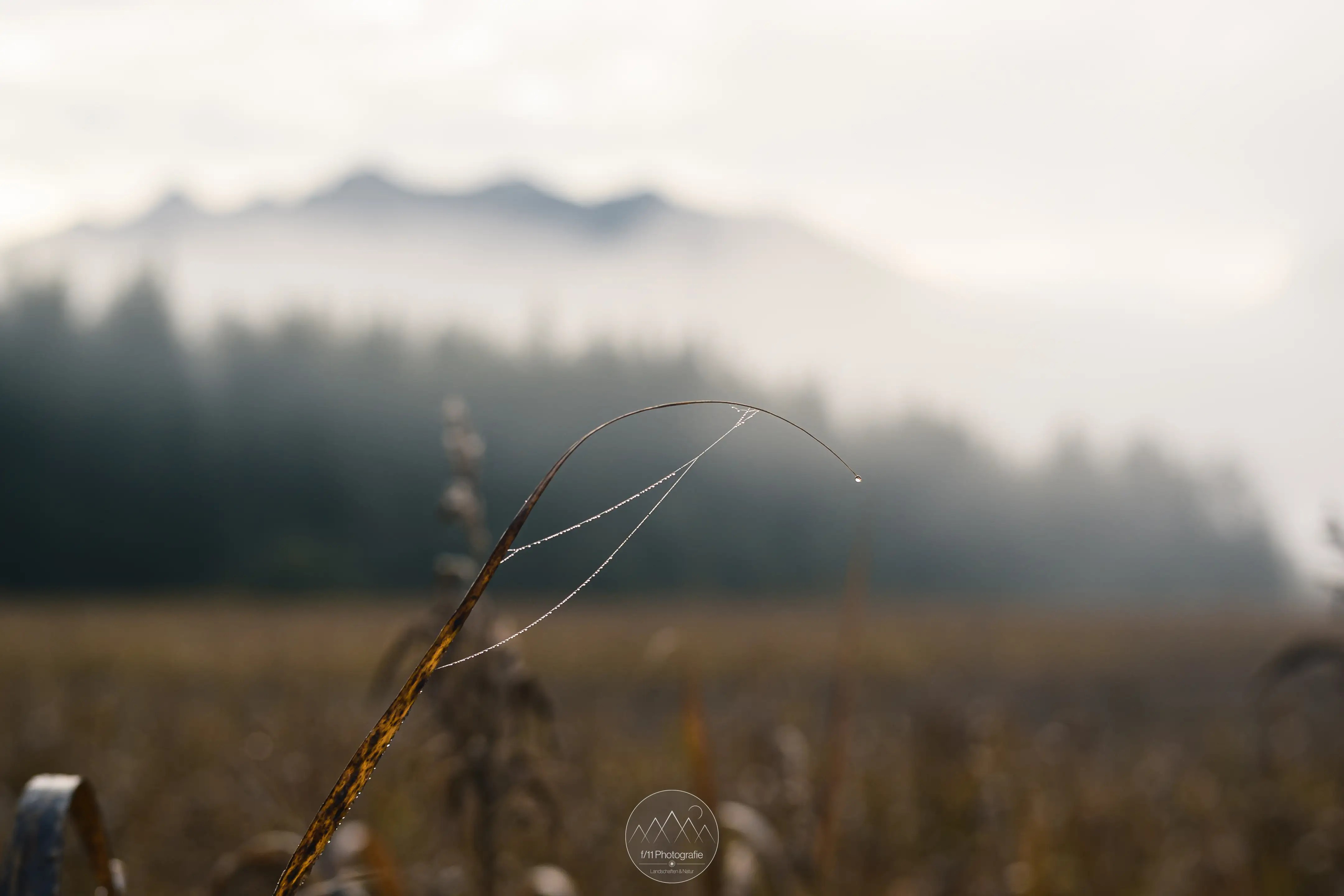 Es lohnt sich die Augen nach Details am Wegesrand offen zu halten.