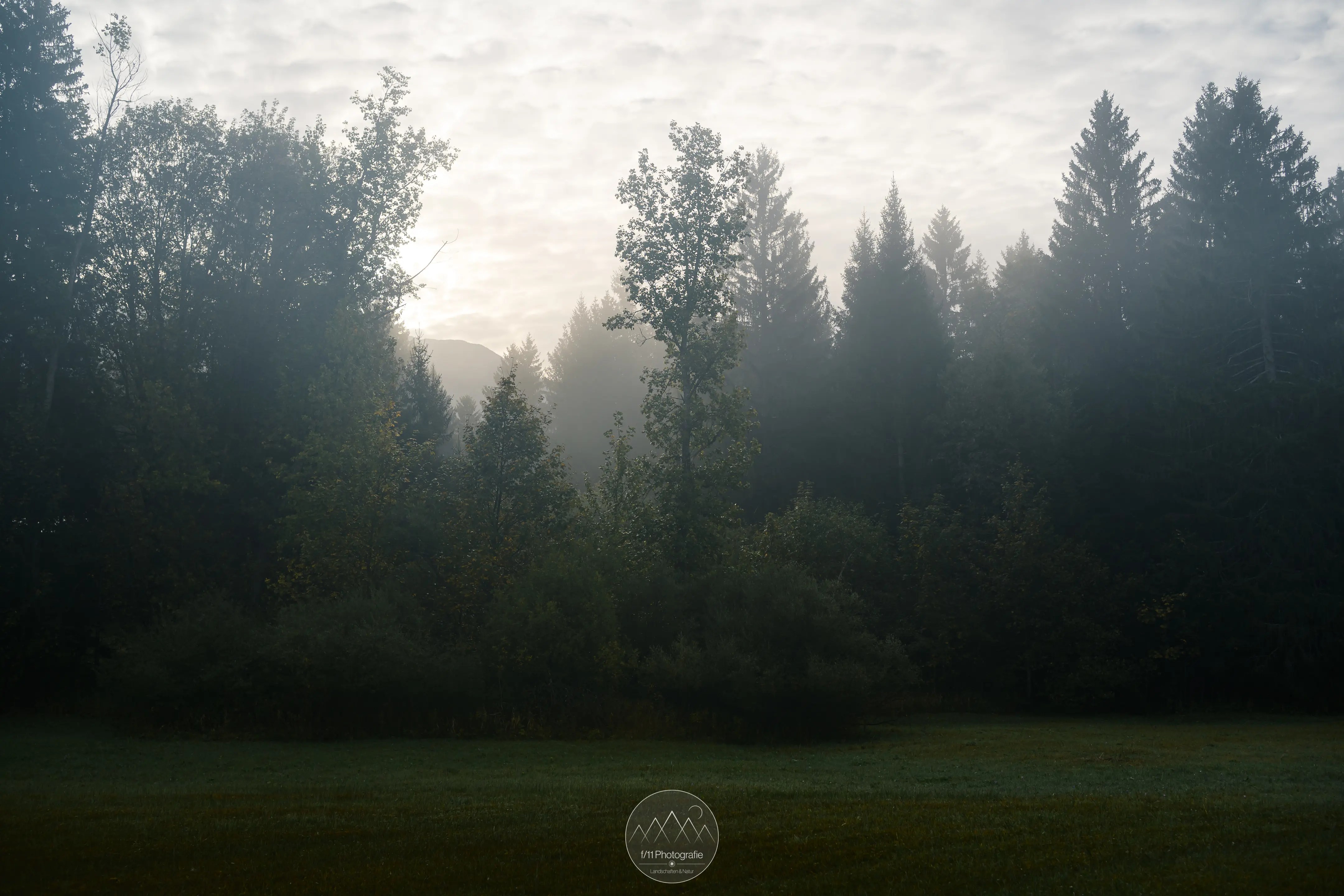 Auch am Ende des Rundwegs können sich noch Motive ergeben, auch wenn das Licht im ersten Moment nicht gut erscheint.