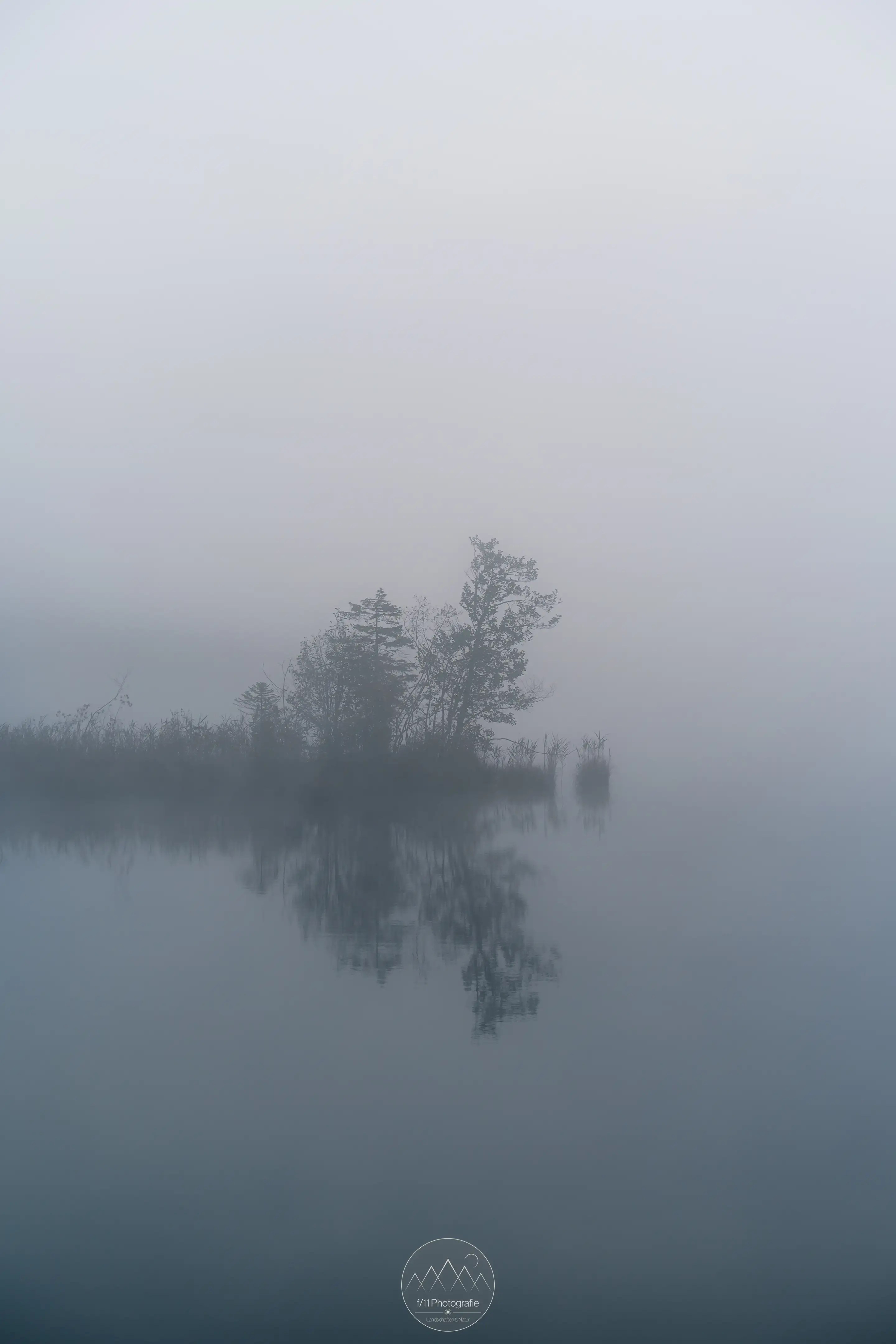 Auch bei sehr dichtem Nebel gibt es immer ein Motiv, das es sich zu Fotografieren lohnt.