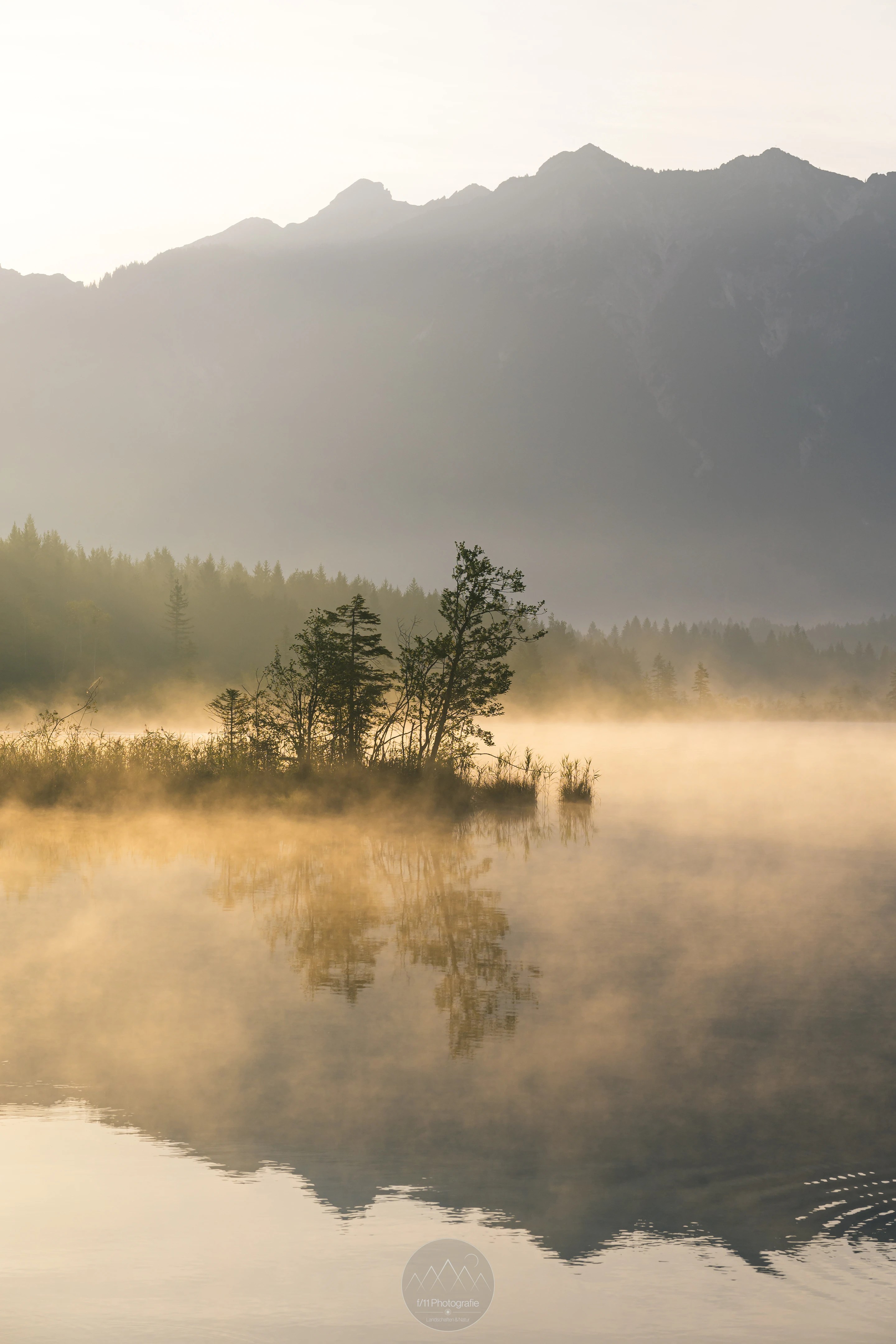 Auch ohne dichten Nebel sorgt die Morgensonne im Sommer oftmals für eine dünne Nebeldecke über dem See.