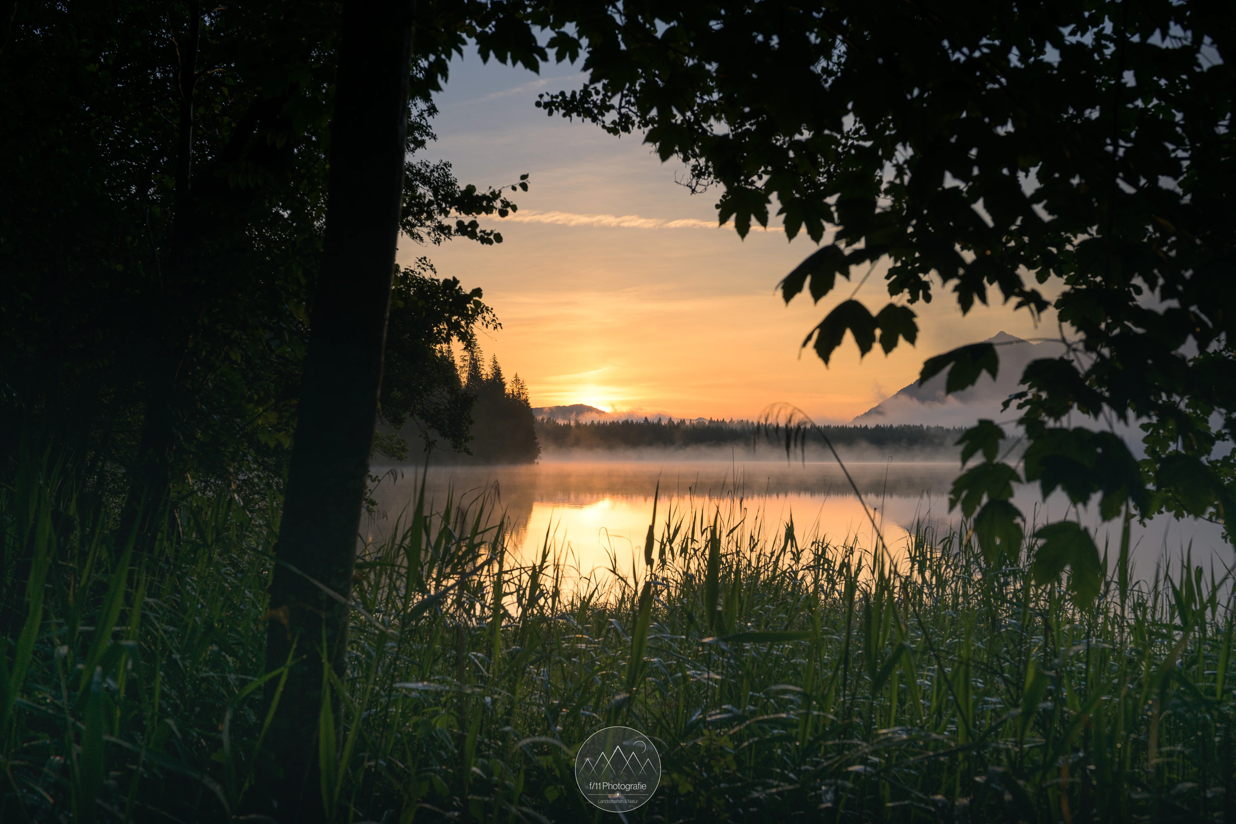 Im Sommer lässt sich der Blick zum anderen Seeufer gut einrahmen.