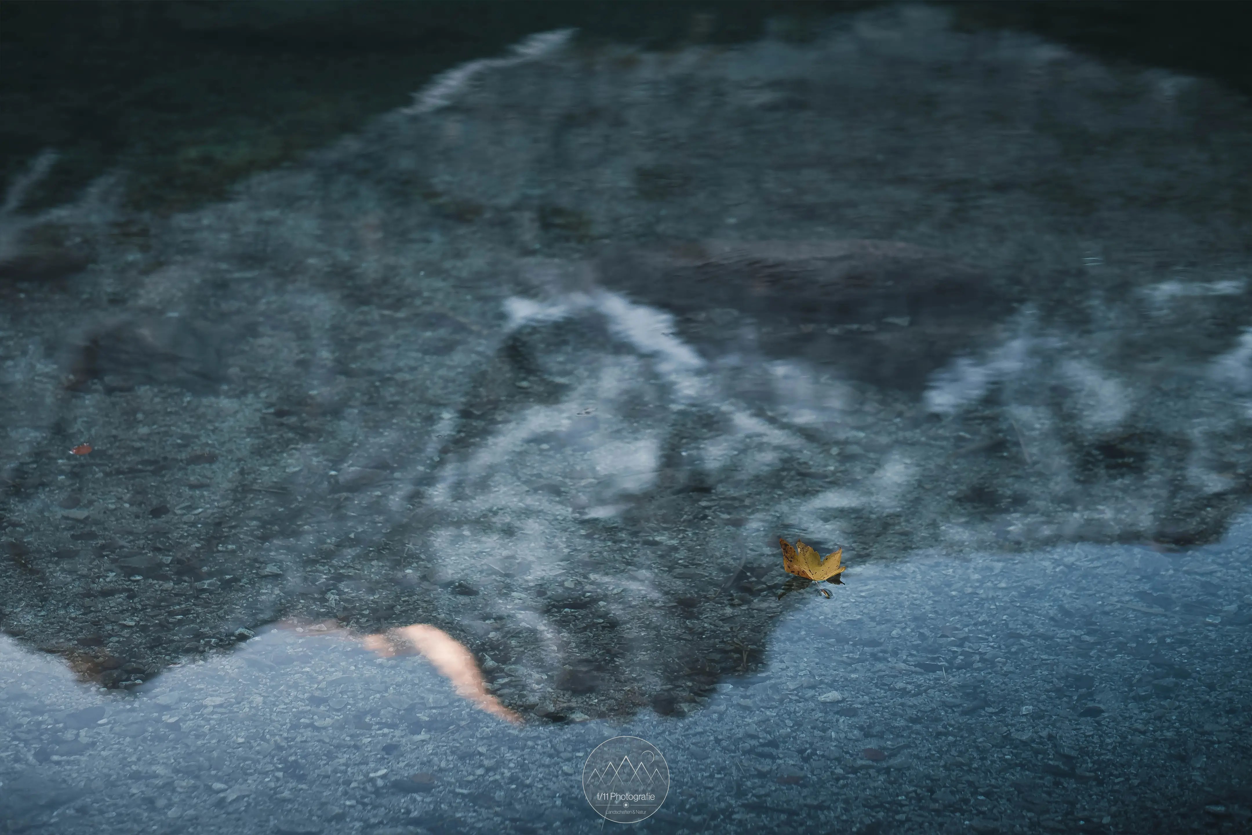 Herbstliche Details auf und um das Wasser machen das Fotografieren am Eibsee im Herbst aus.