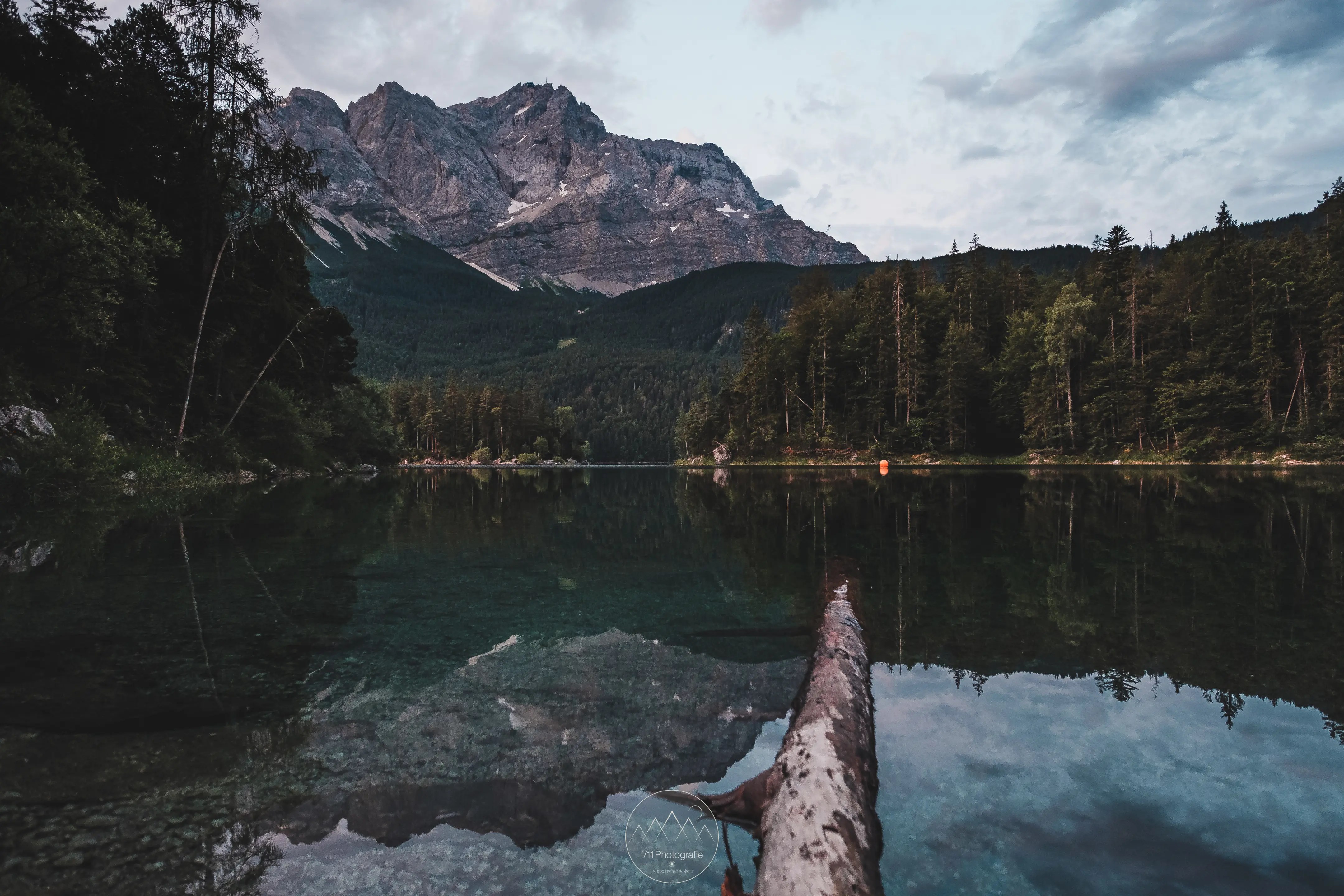 Auch an bedeckten Tagen können sich an der Bucht lohnenswerte Motive ergeben. Dieser Baumstamm lag genau richtig.
