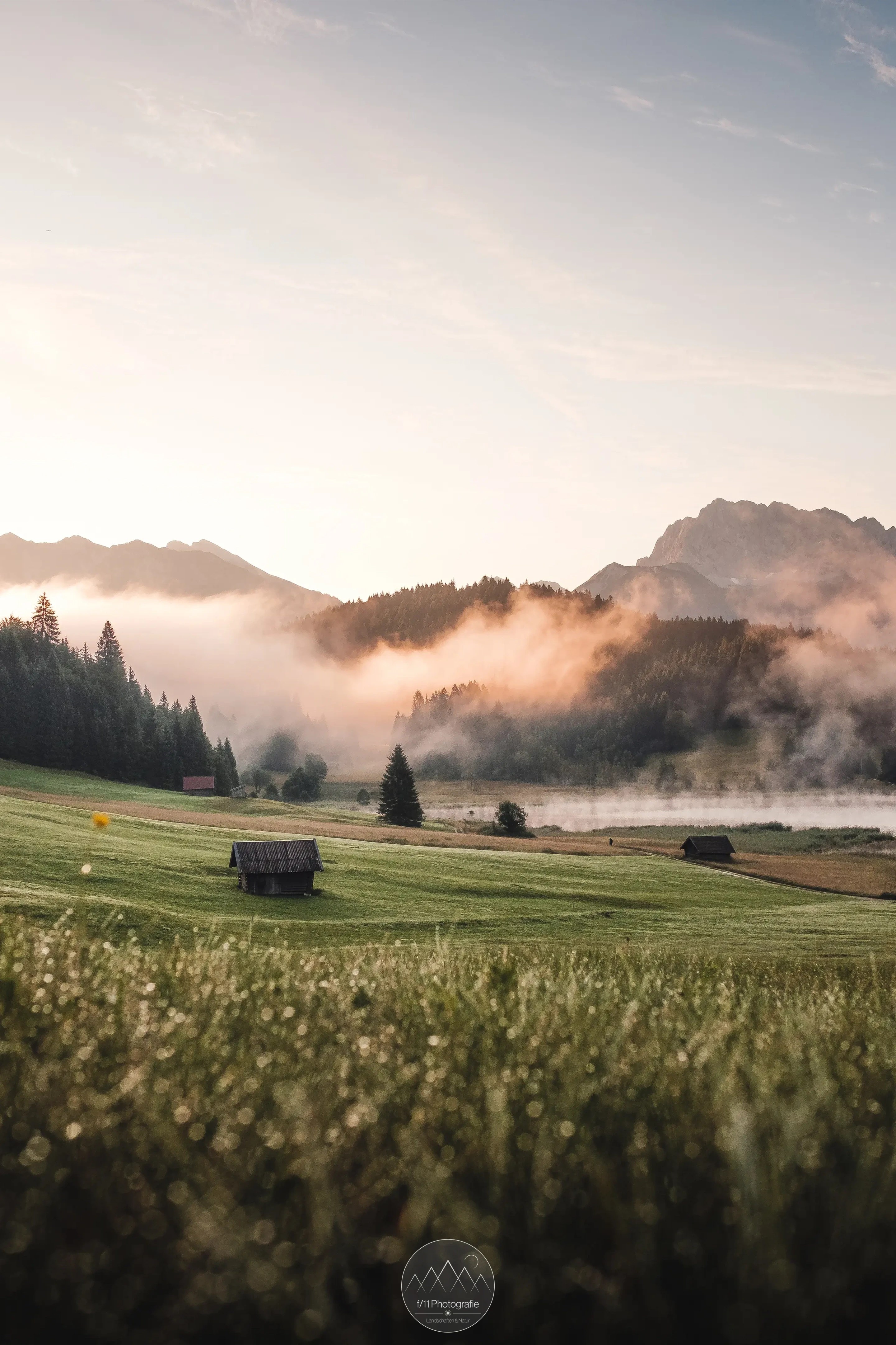 Auch entlang des Pfades zum Fotospot gibt es im Sommer tolle Motive. Bis ganz hinauf zum Spot gehe ich nicht mehr, wenn dann nur einige Meter.
