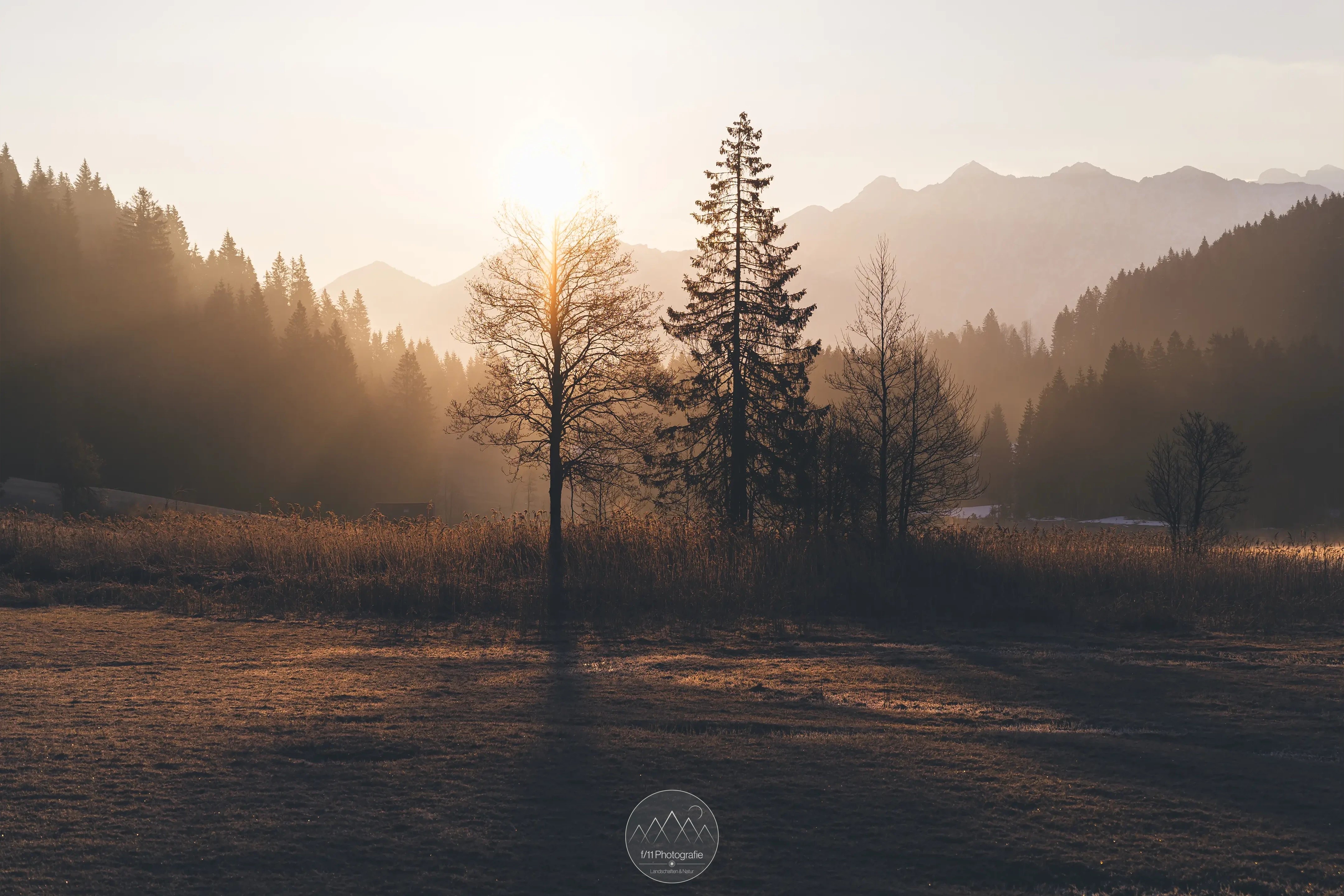Im Gegenlicht der Sonne lassen sich auch im April tolle Ergebnisse erzielen.