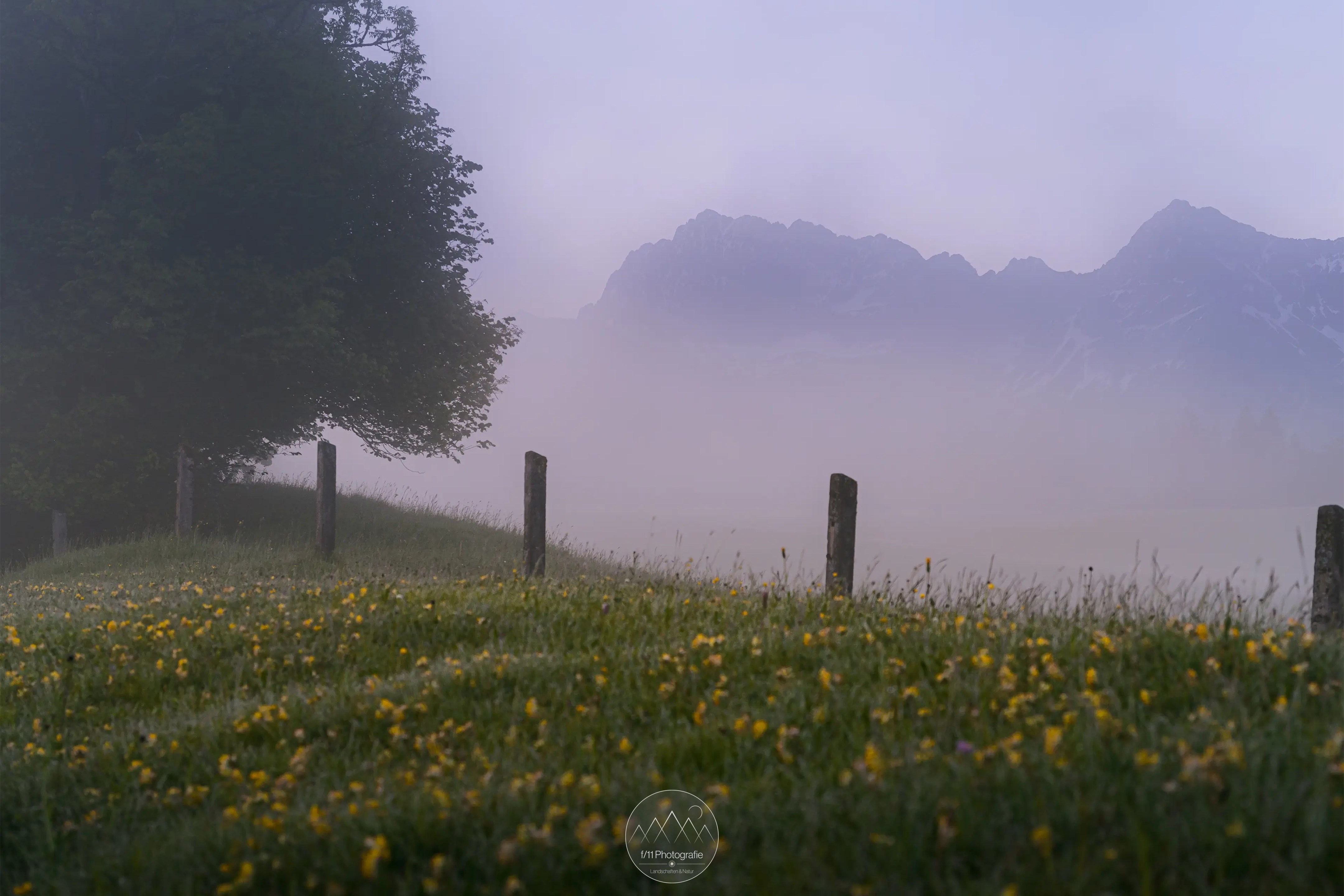 Bereits auf dem Weg zum See ergeben sich im Frühling erste Motive.
