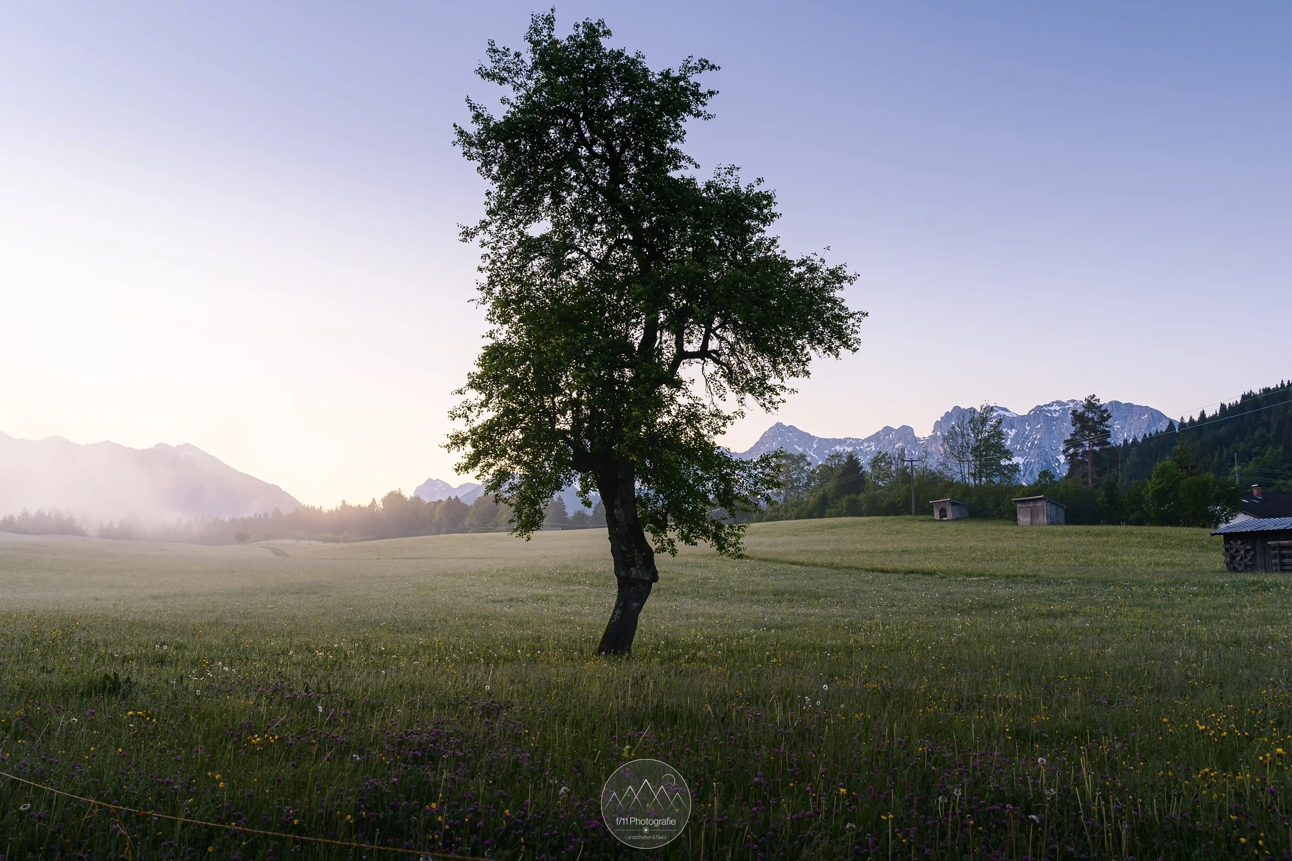 Dieser Baum liegt auf dem Weg zum See im Ort Gerold. Er ist für micht oft das erste Motiv einer Fototour zum Sonnenaufgang.