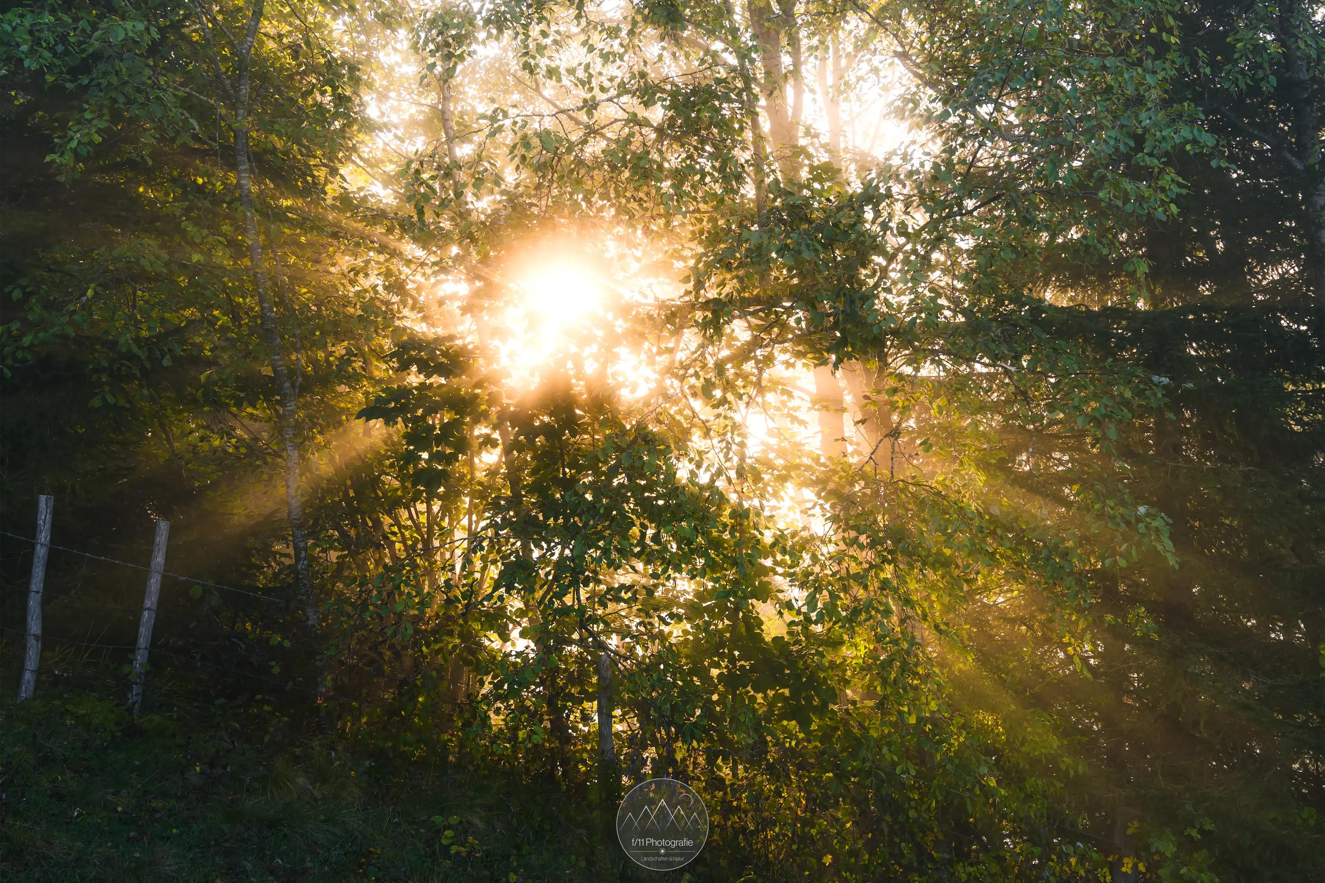 Ein weiterer Moment wo sich das Warten gelohnt hat. Die Sonne bricht durch den Nebel und erzeugt diese abstrakte Lichtspiel.
