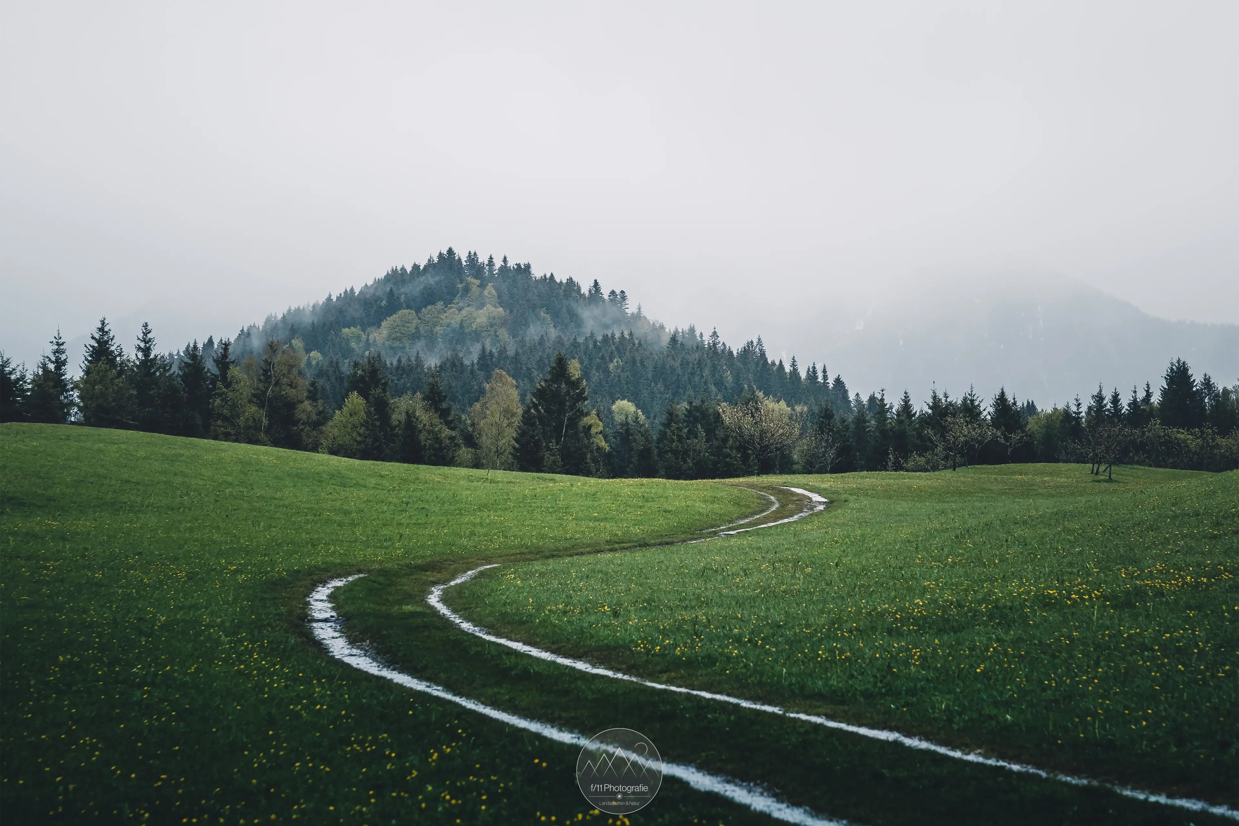 Auch bei Regen ist der Rund reizvoll. Die Nässe verstärkt das Grün nochmals.