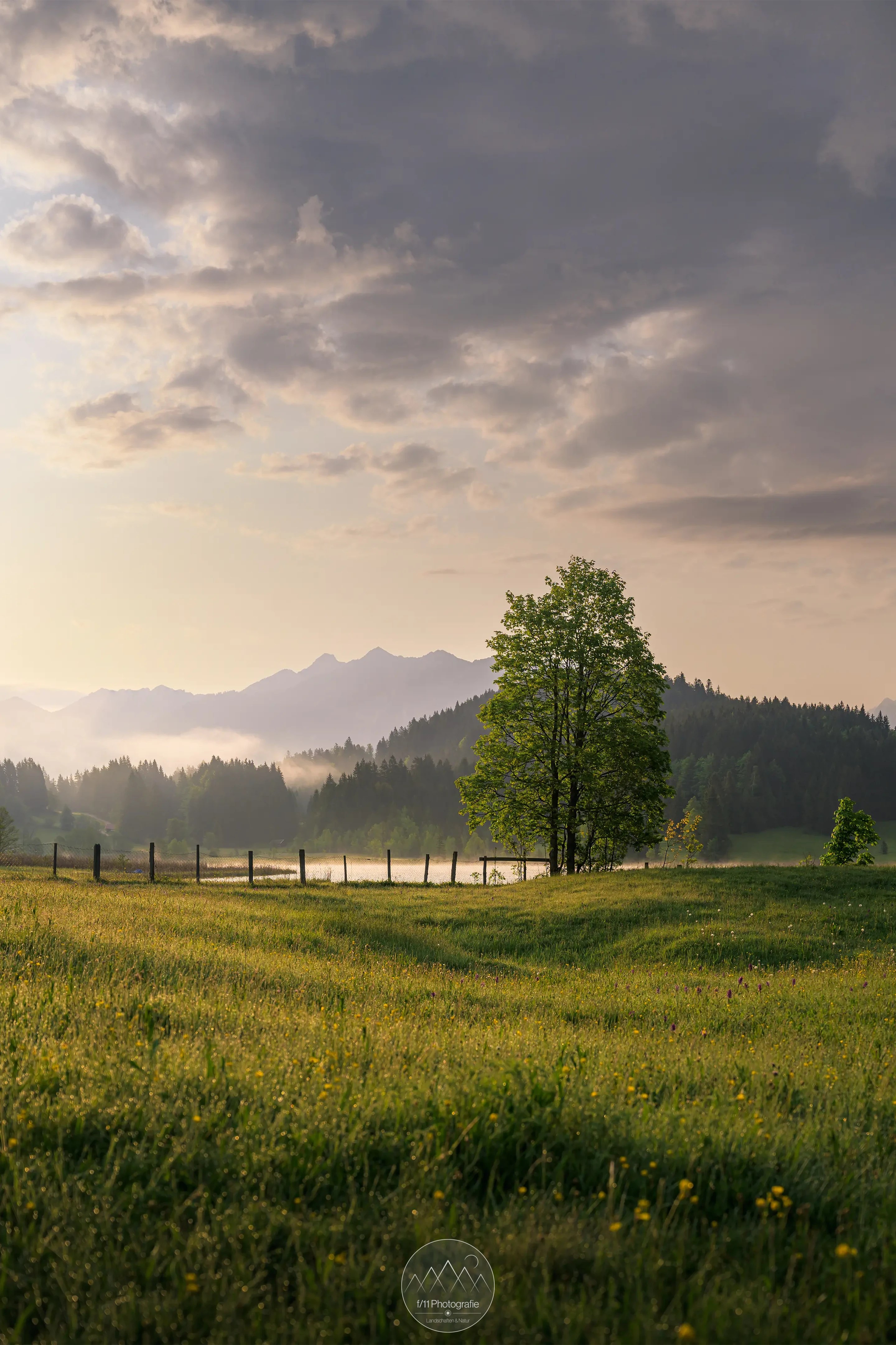 Ende Mai ist die erstrahlt die Vegetation in einem kräftigen Grün. Zum Sonnenaufgang am Geroldsee ergeben sich so viele Motive.