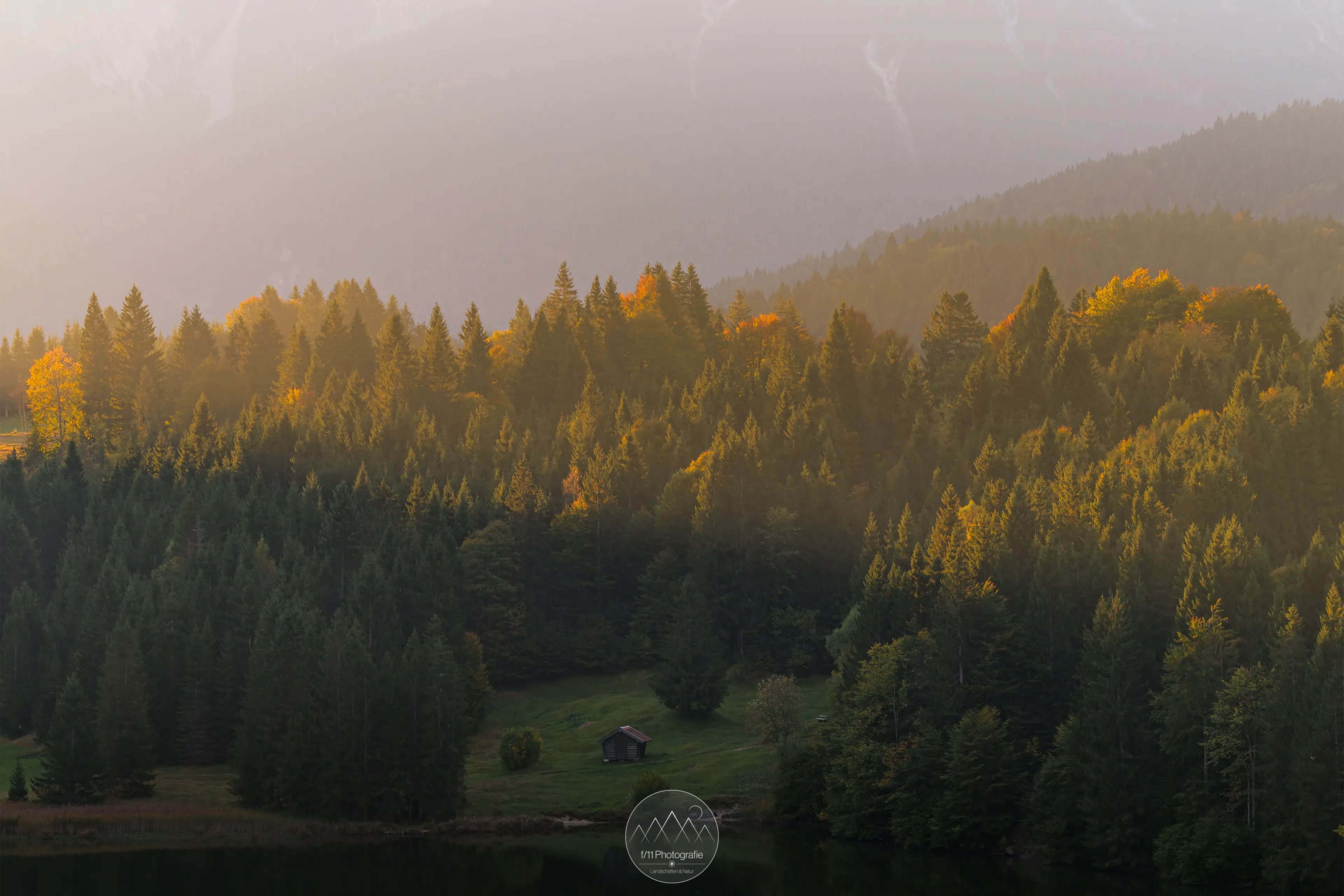 Das sanfte Licht der herbstlichen Morgensonne sorgt für besonders schöne Stimmungen. Mit einem Teleobjektiv lassen sich tolle Details einfangen