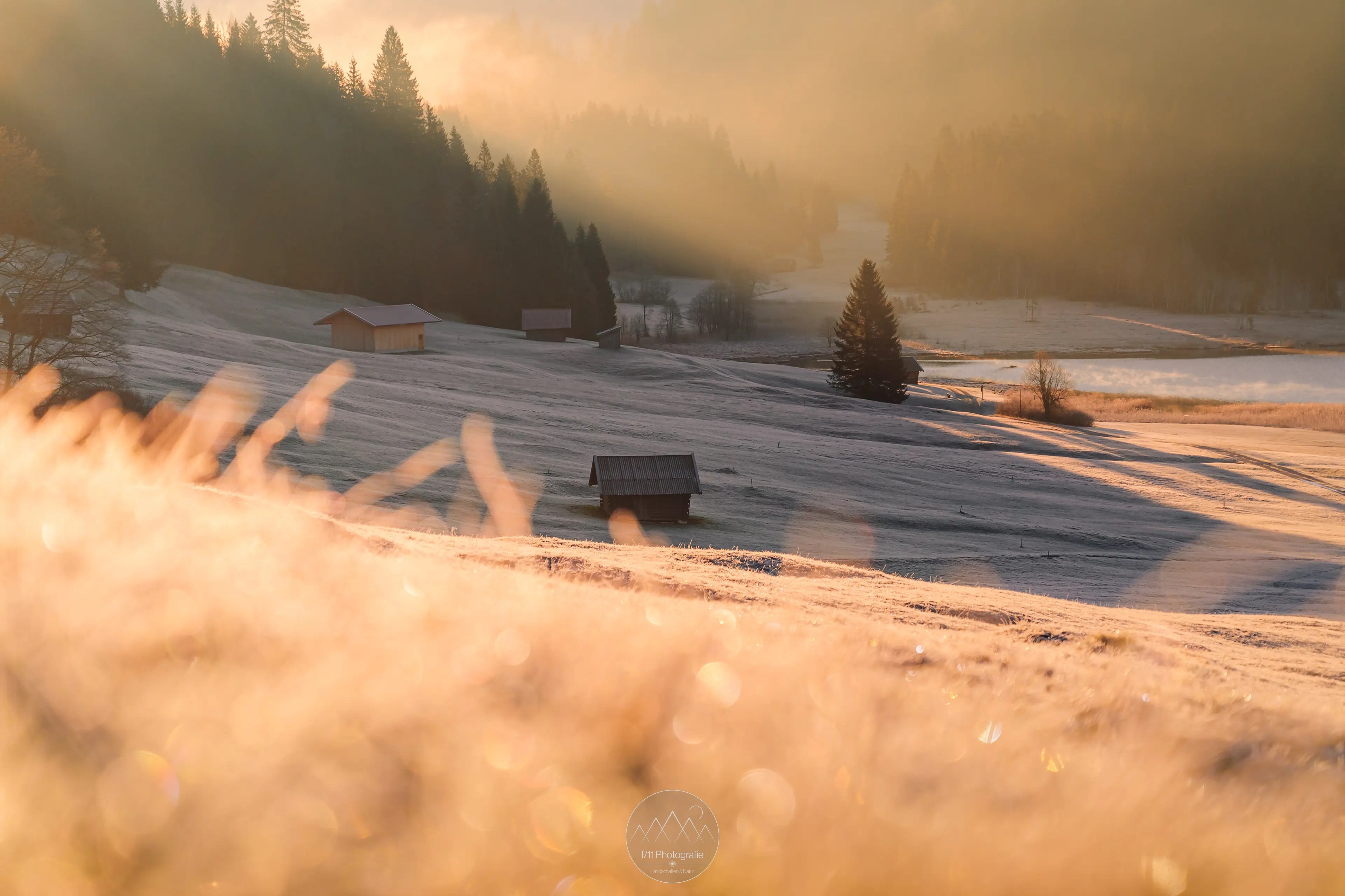 Goldene Stunde am Geroldsee. Die frostige Landschaft wird in ein goldenes Licht getaucht.