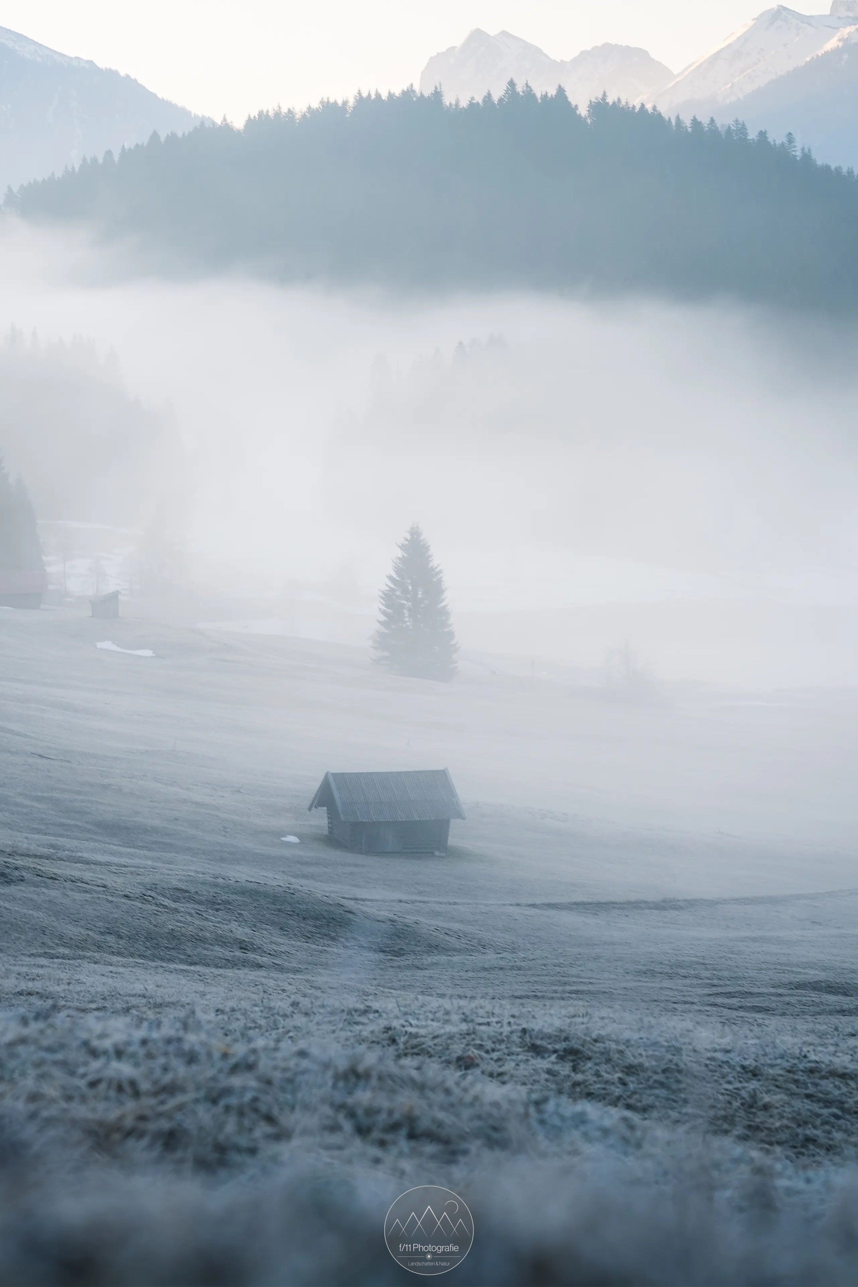 Der oft vorhandene Morgennebel taucht den See und seine Umgebung gegen Ende des Winters oft in eine mytische Stimmung.