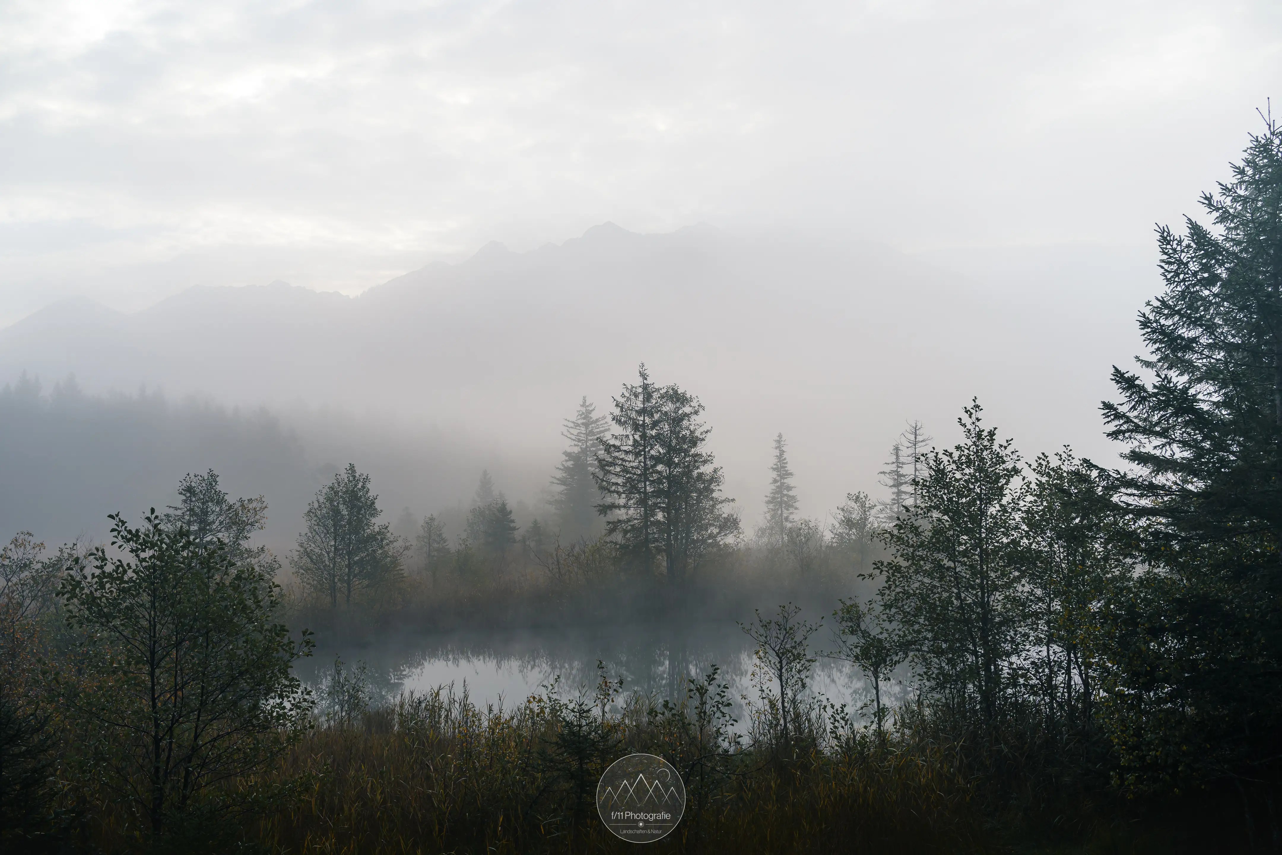 So ergeben sich einmalige mystischen Stimmungen am Barmsee.