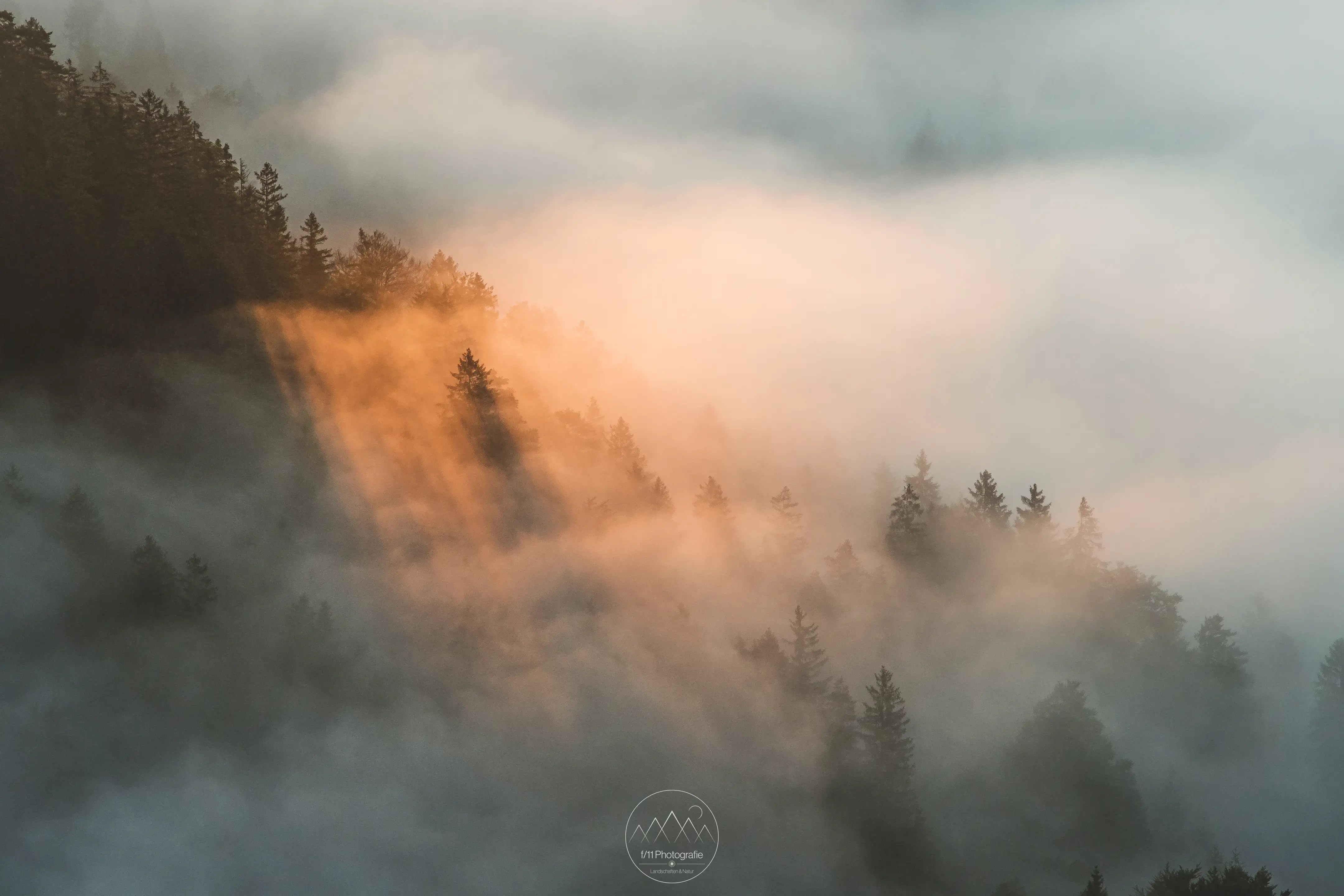 Besonders bei Nebel im Tal ergeben sich zu Sonnenaufgang einmalige Lichtspiele in den Wäldern.