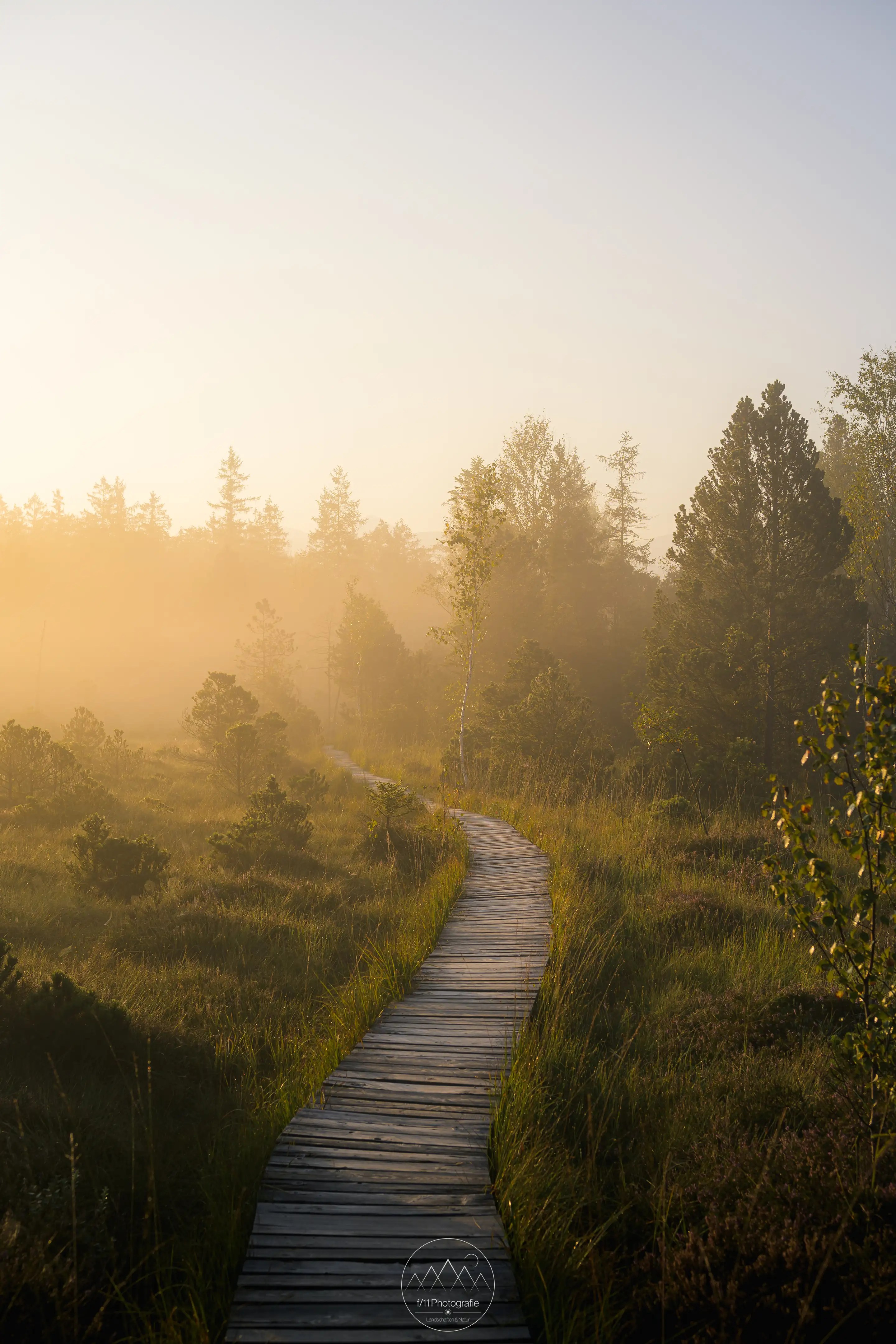 Der Bohlenweg durch das Murnauer Moos bietet besonders Morgens tolle Motive.