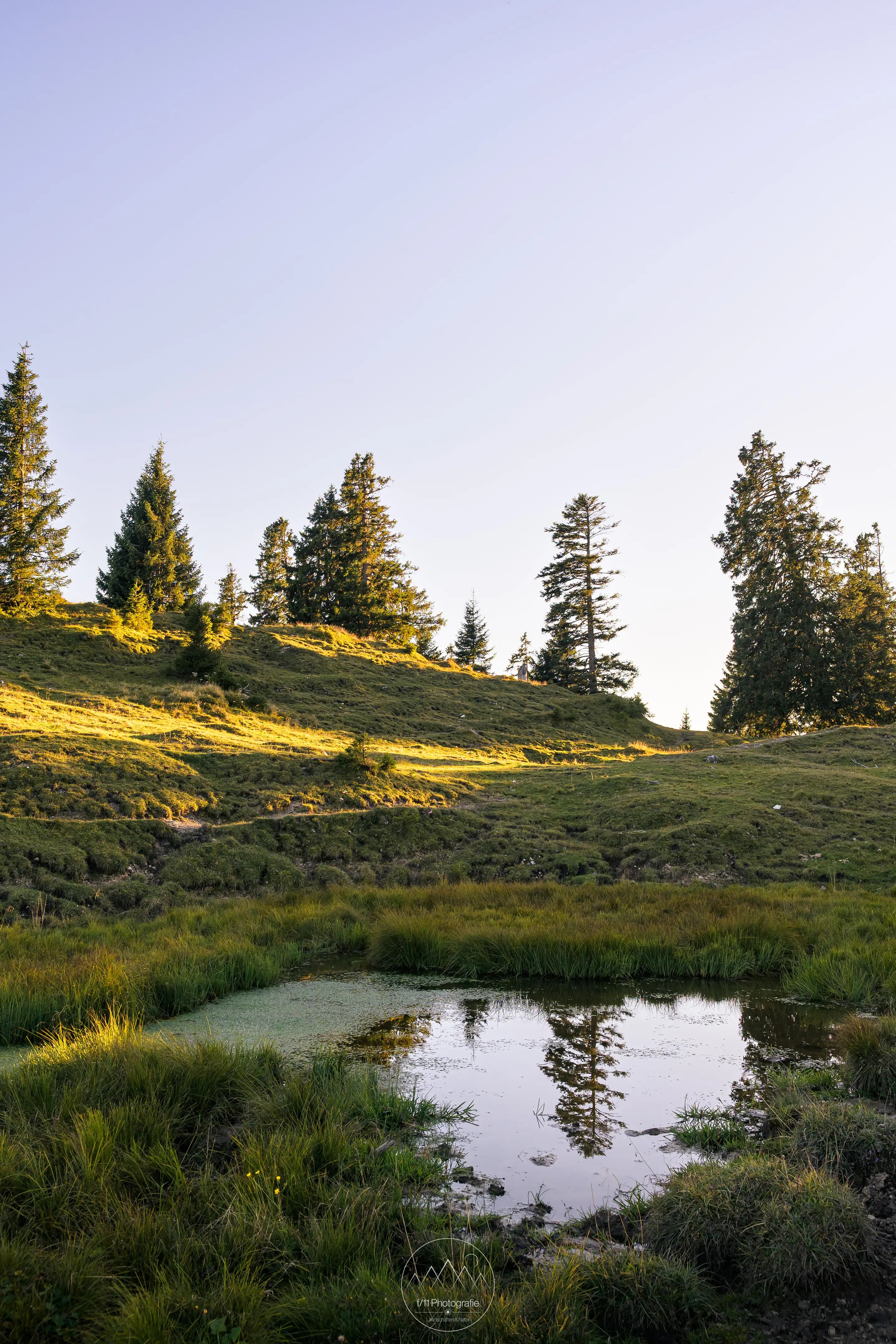 Rund um die Alm gibt es neben den Ausblicken einige Motive zu entdecken.